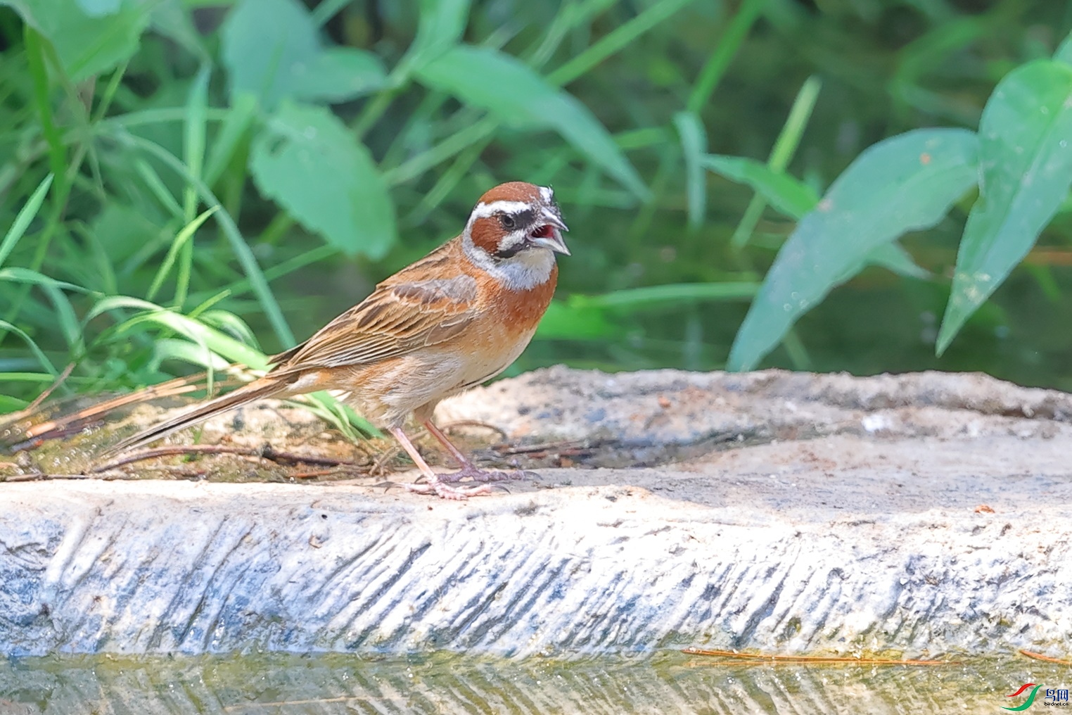 ������̾.JPG