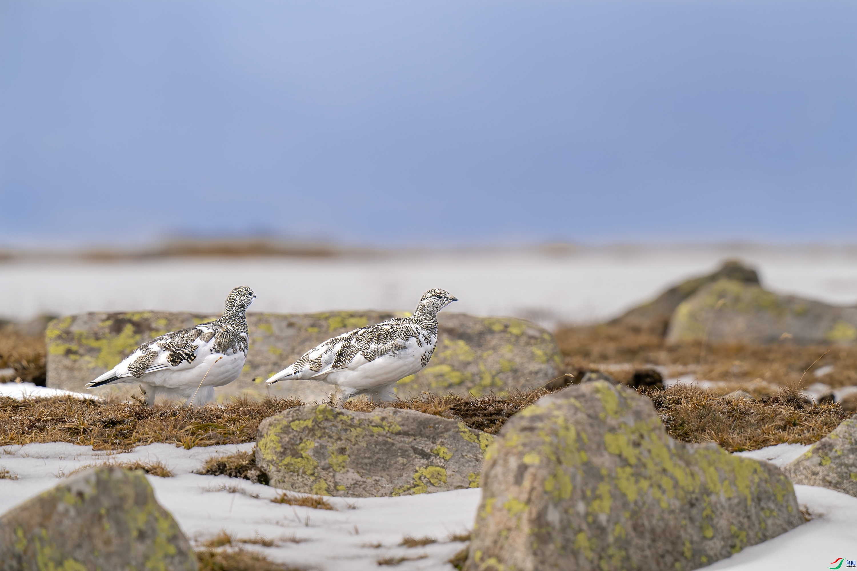 ������ ���� ����  ����.jpg