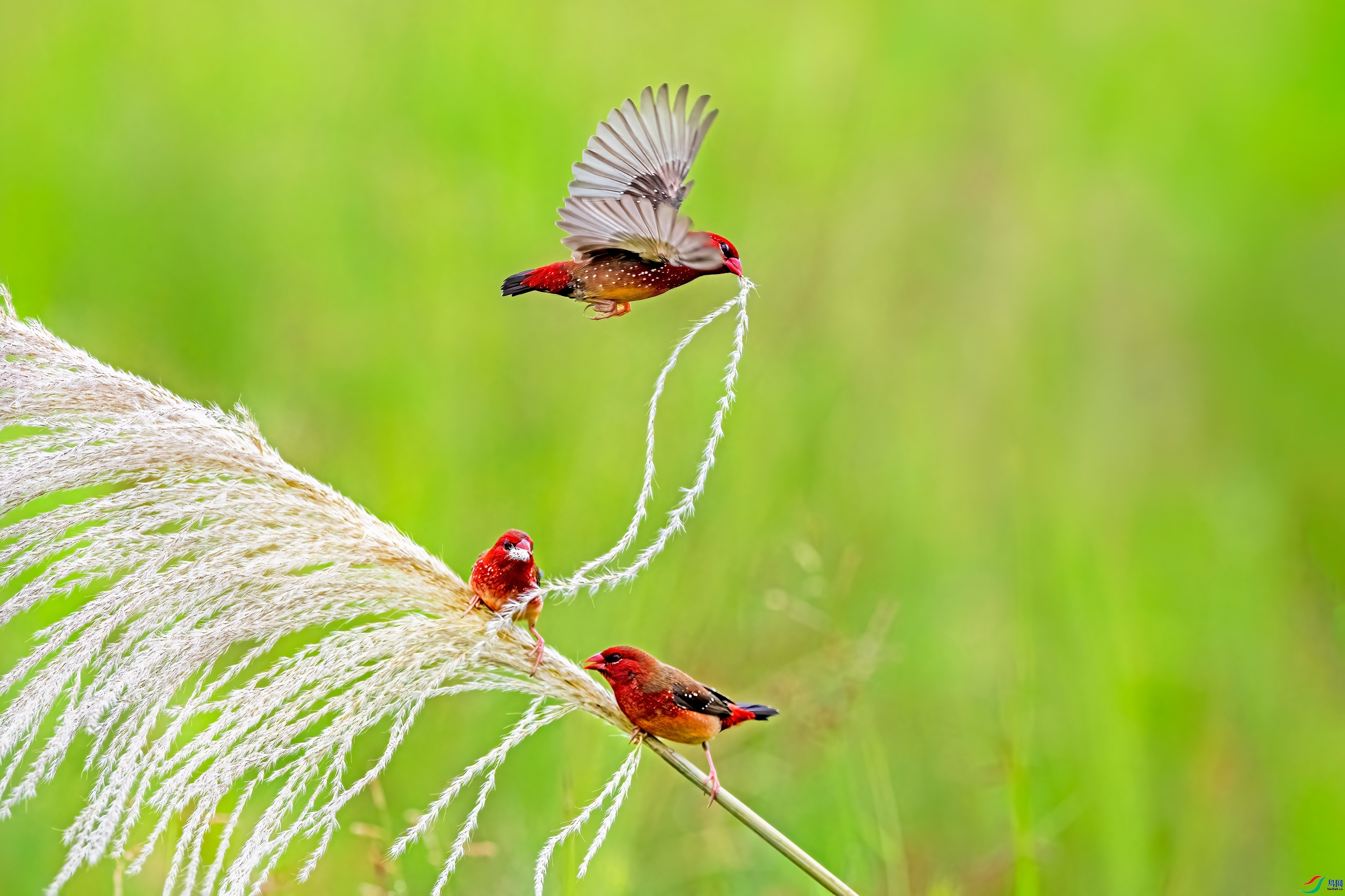 ��÷��ȸ  ���� wh�ϳ�  ����.jpg