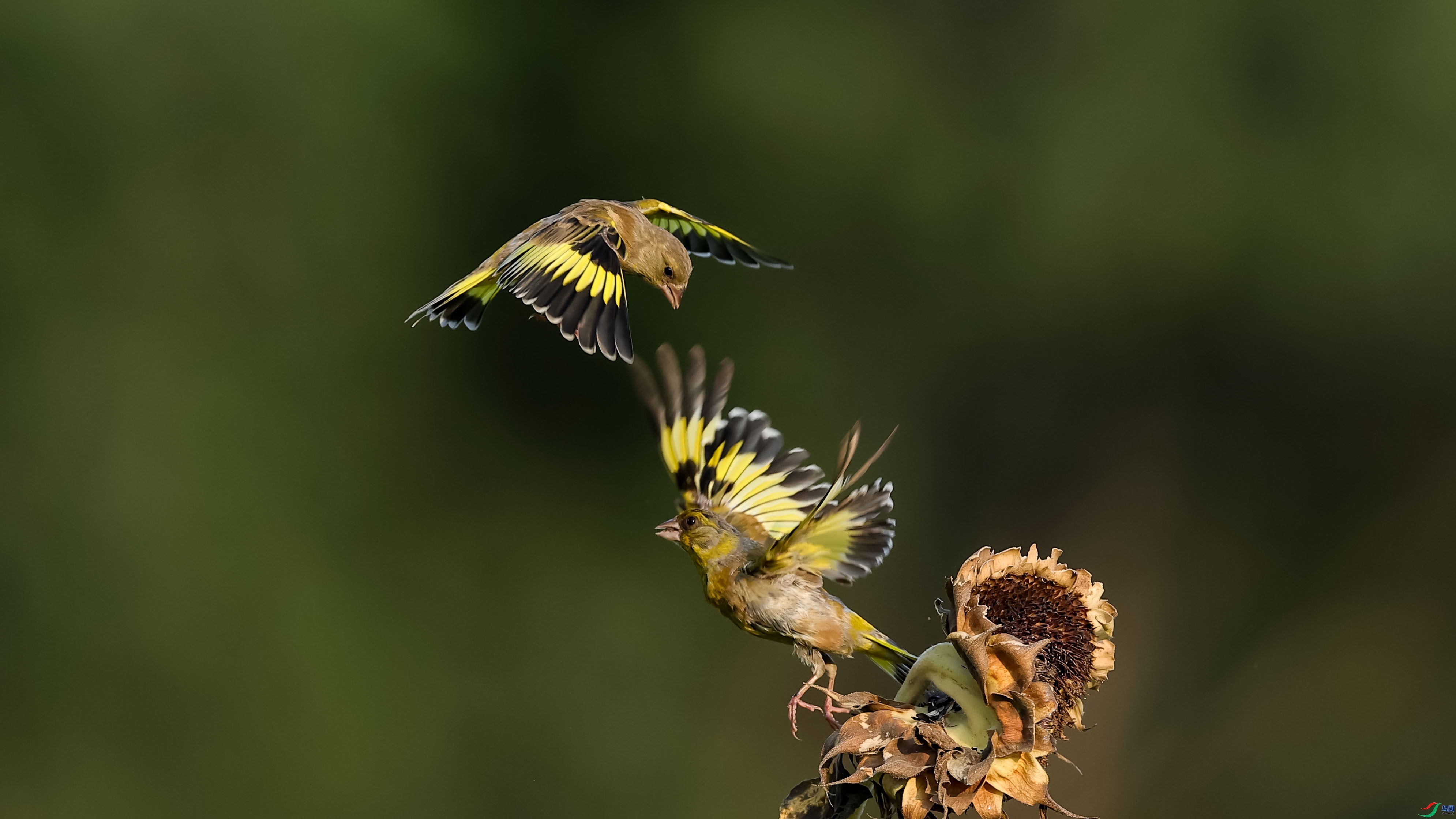 ��������  ����  ����.jpg