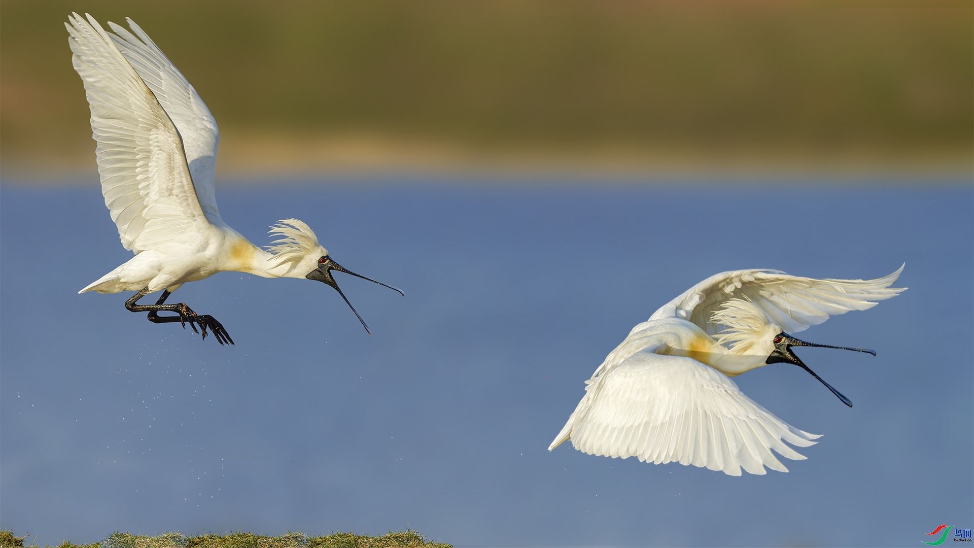 ���� ���� ��������  ����.jpg