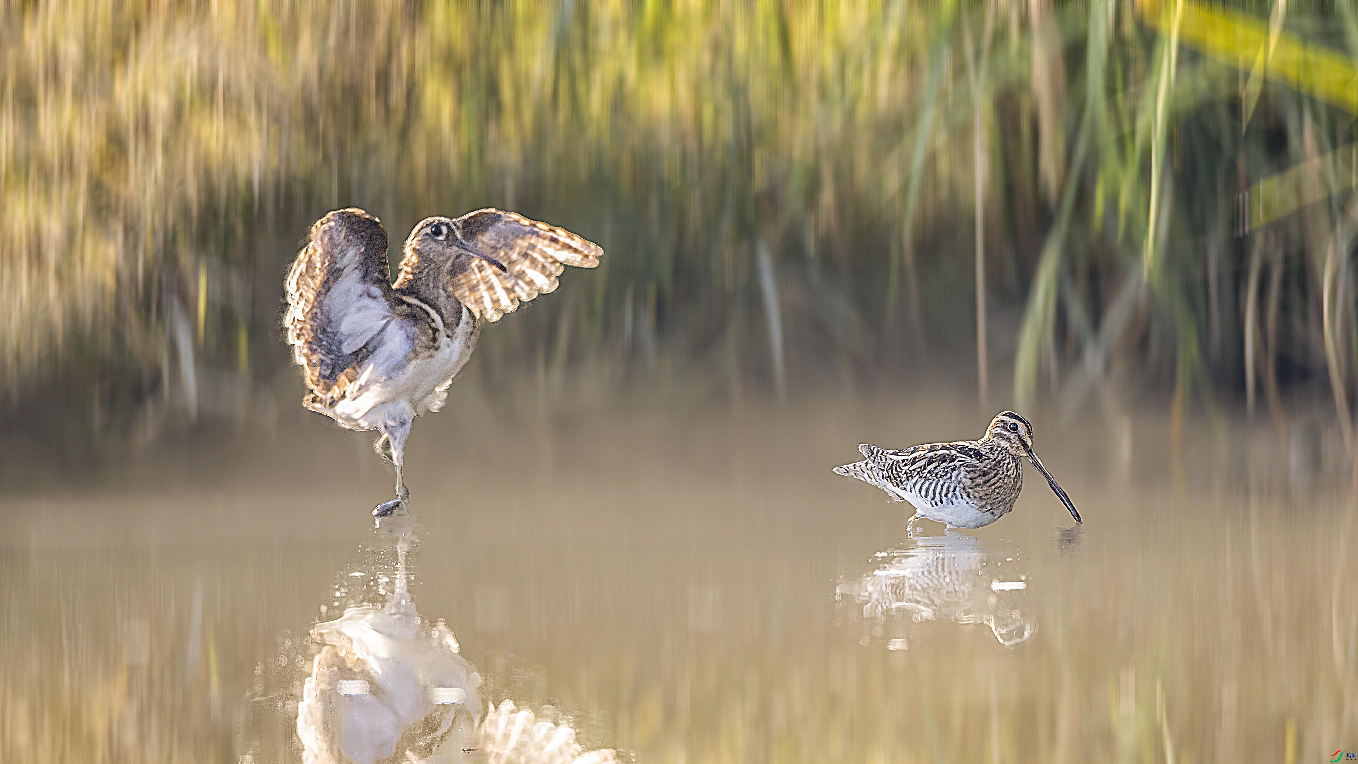 AB8I3316 ����xiao-2 ����.jpg