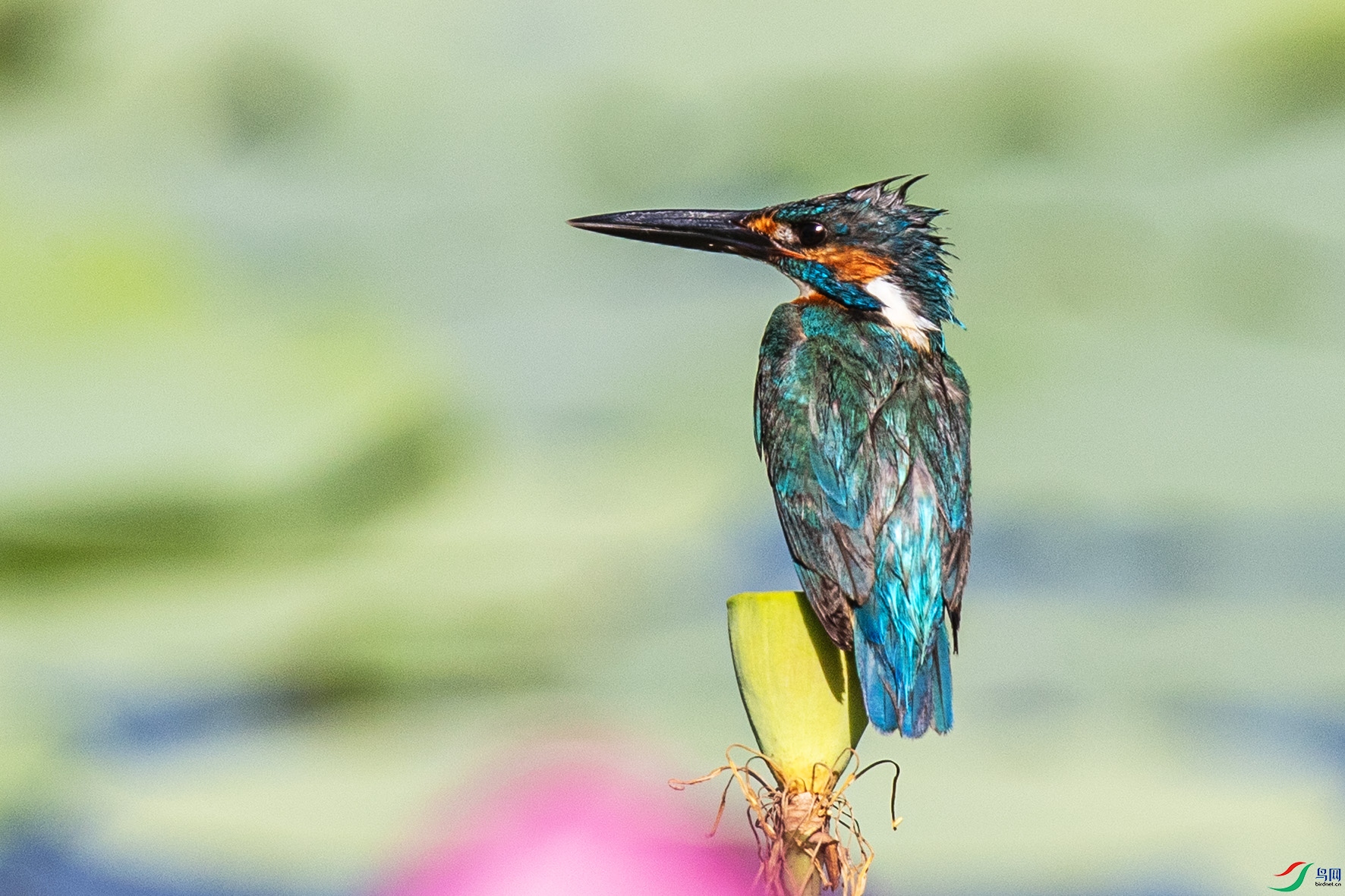 _90I0683 ����.jpg