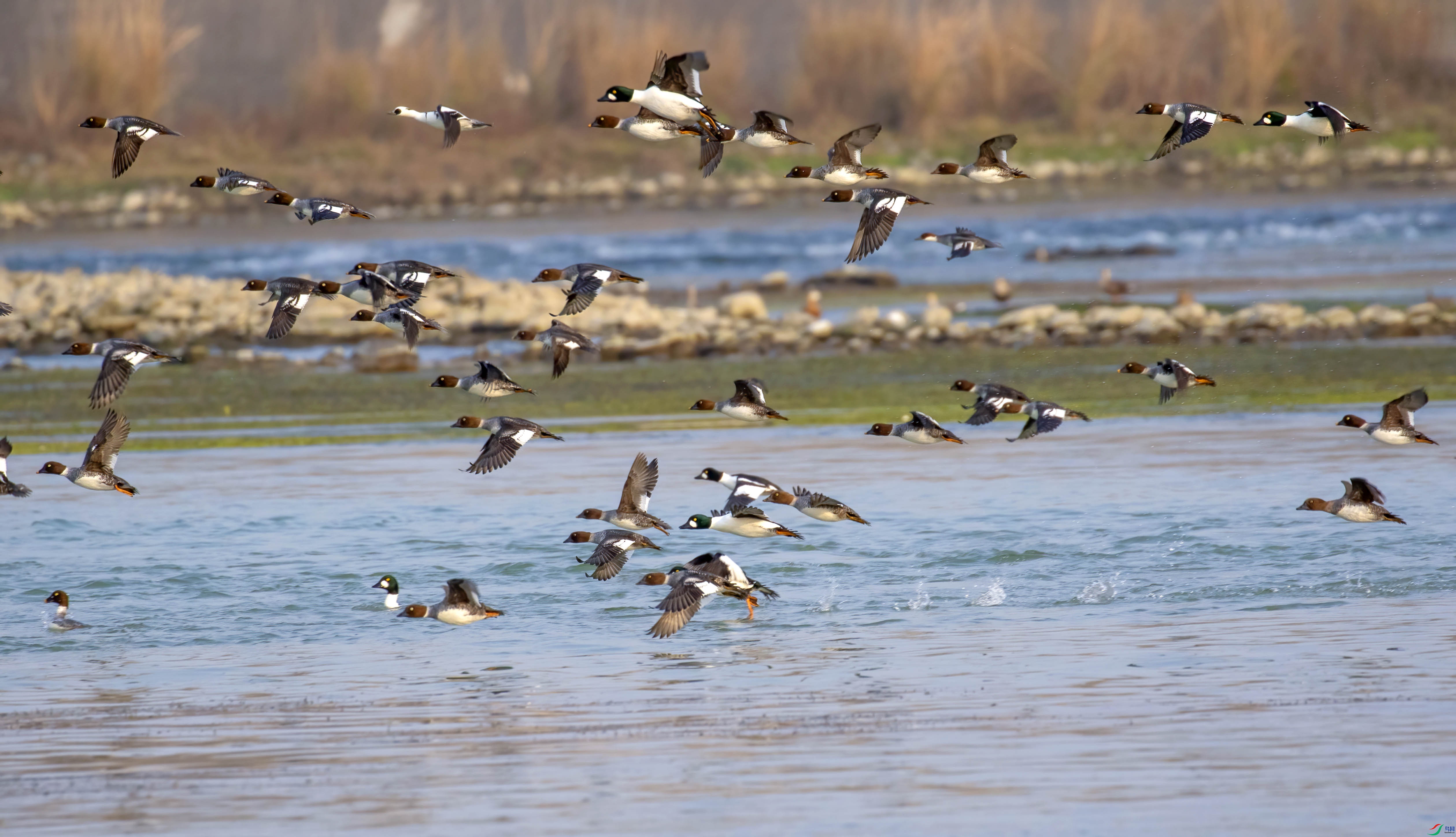 8X2A7820 ����.jpg