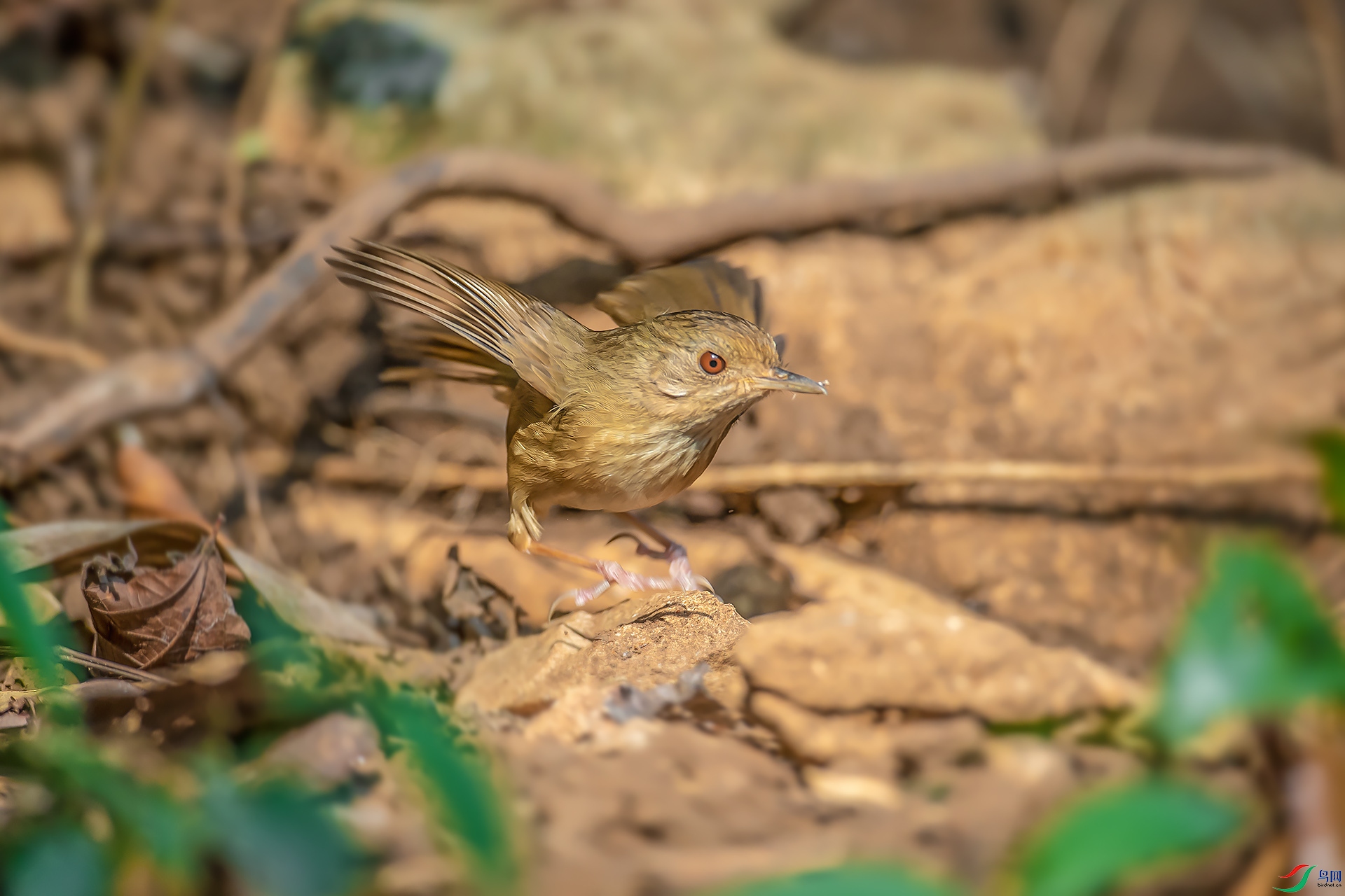 DSC_0304.jpg