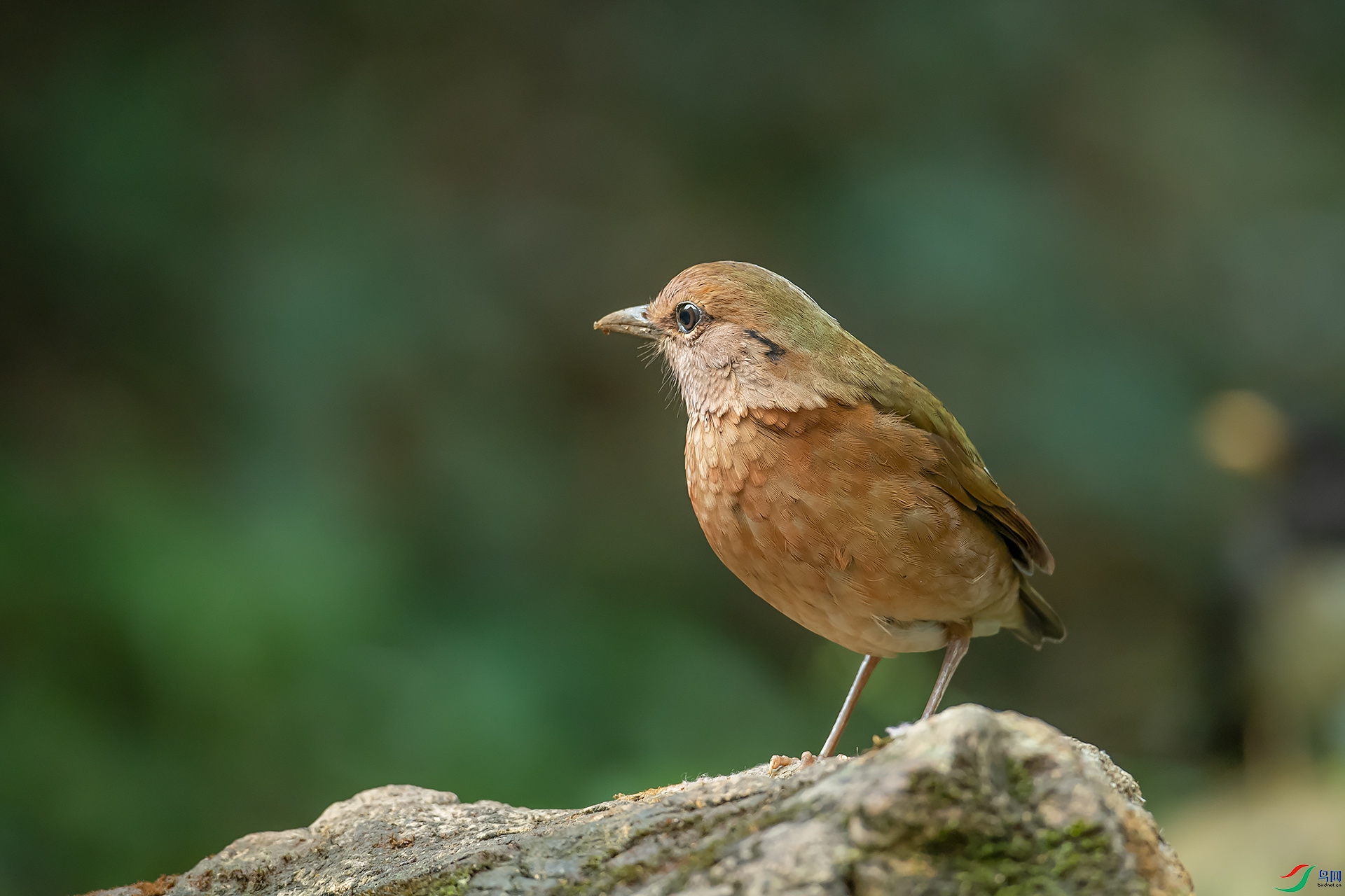 DSC_1422.jpg