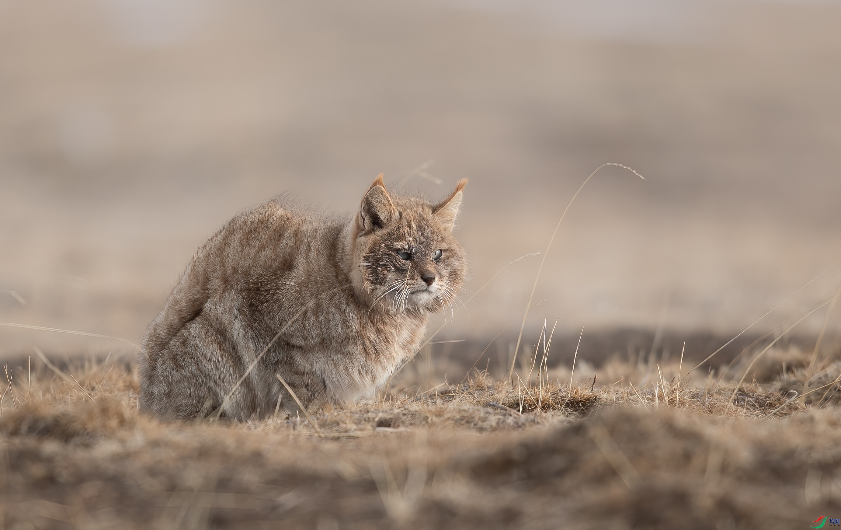 _Y8I4555 ����.jpg