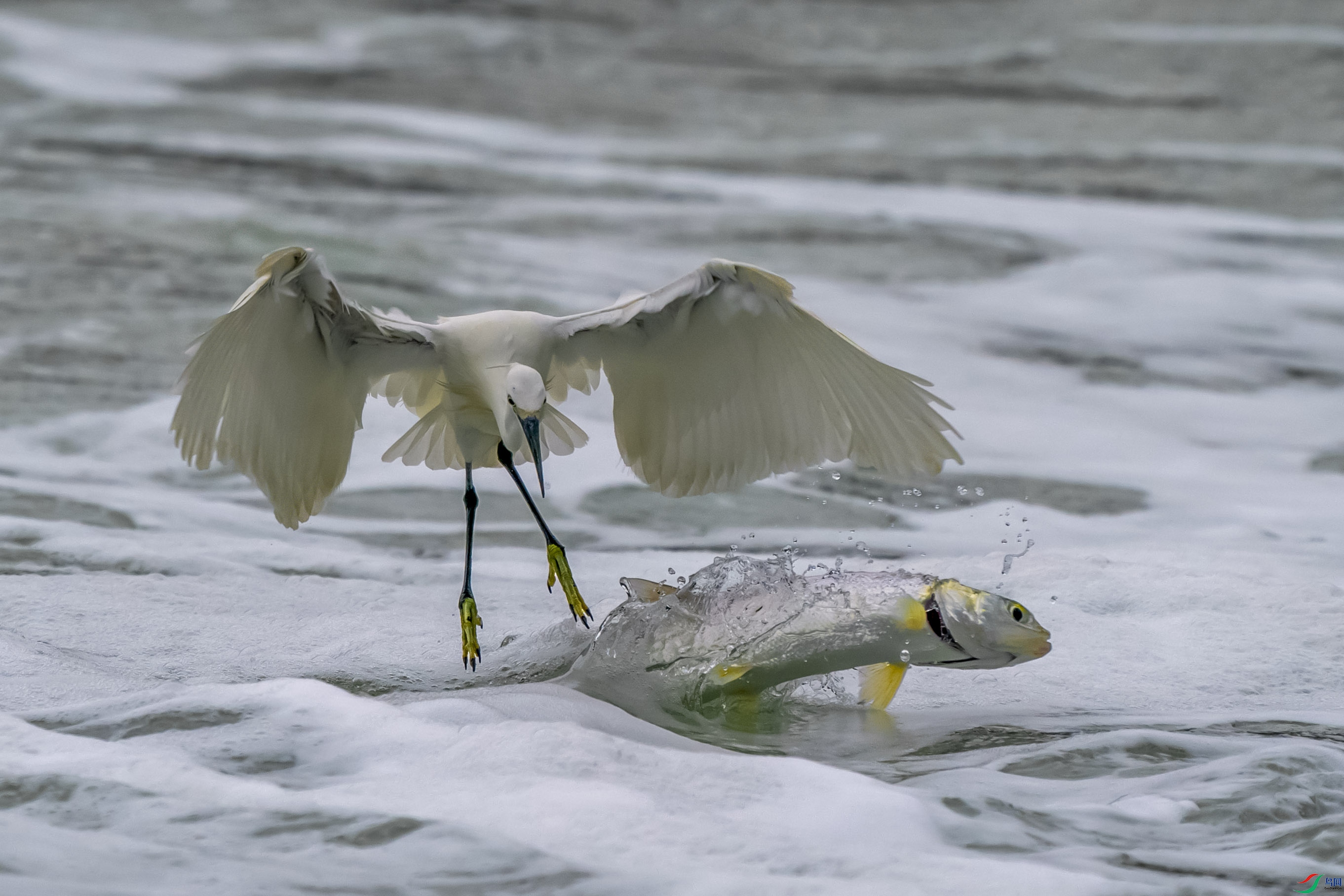 CYP02394 ����.jpg