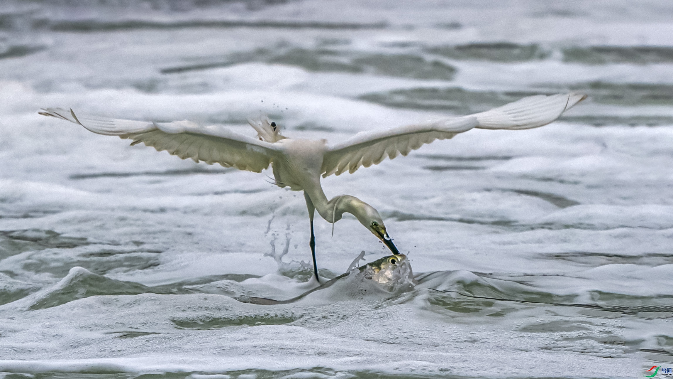 CYP02505 ����.jpg