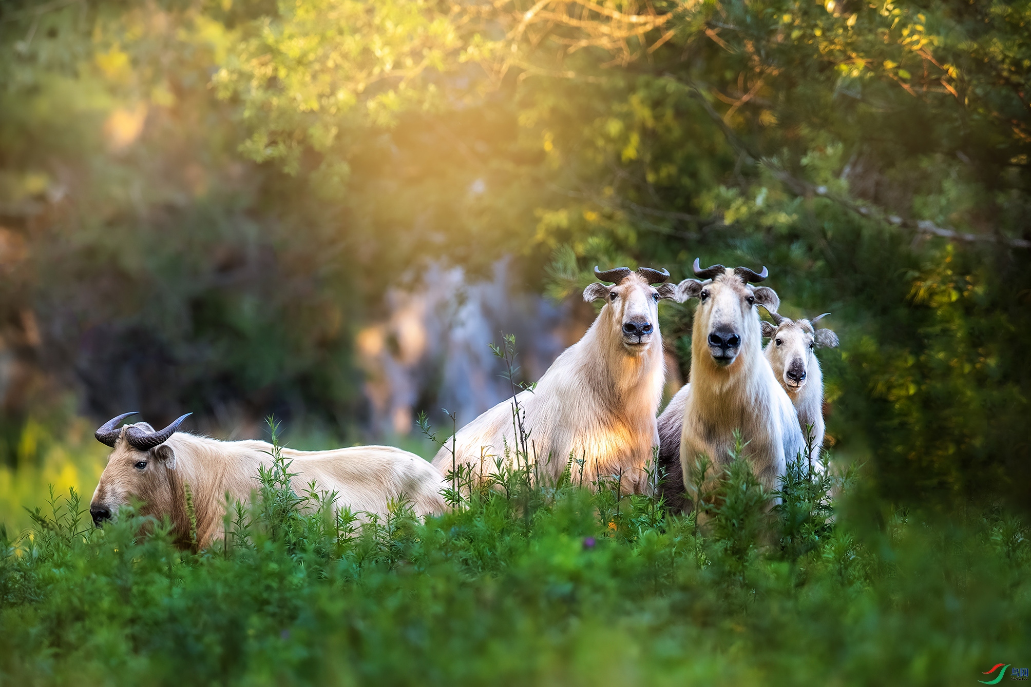 D51I6207 ���� 2.jpg