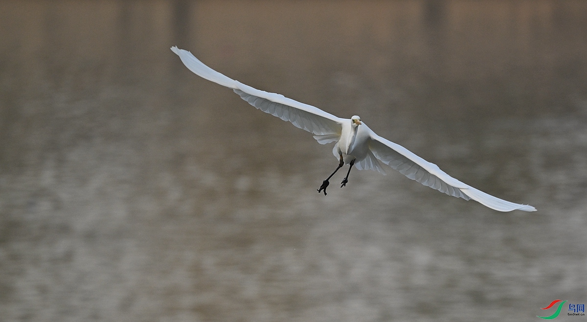 DSC_1427.JPG