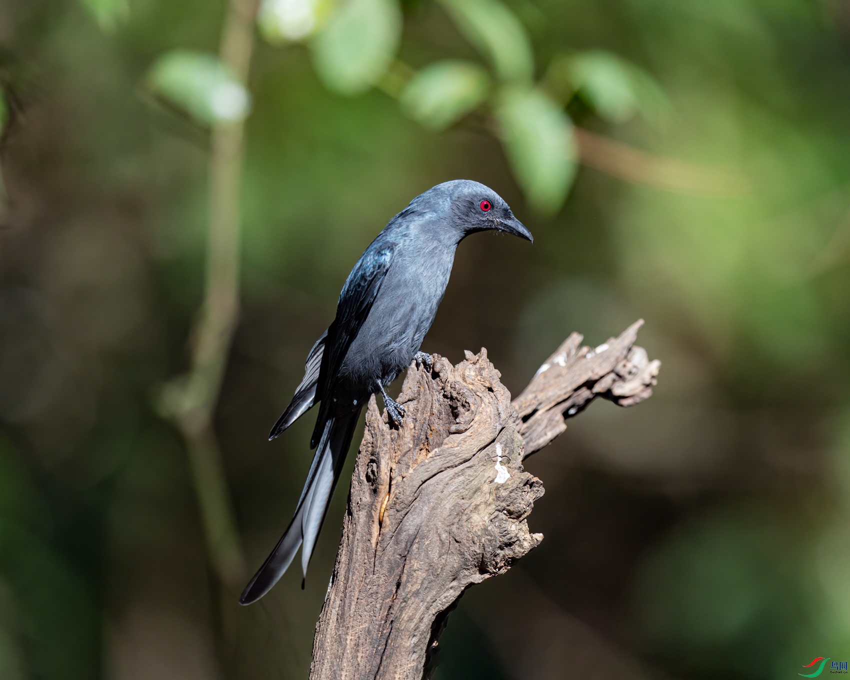 DSC_6172.jpg