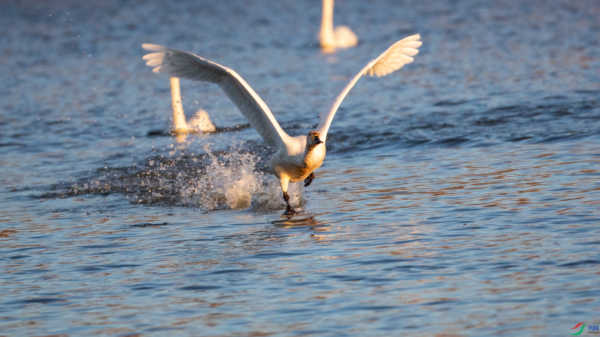 ����--���