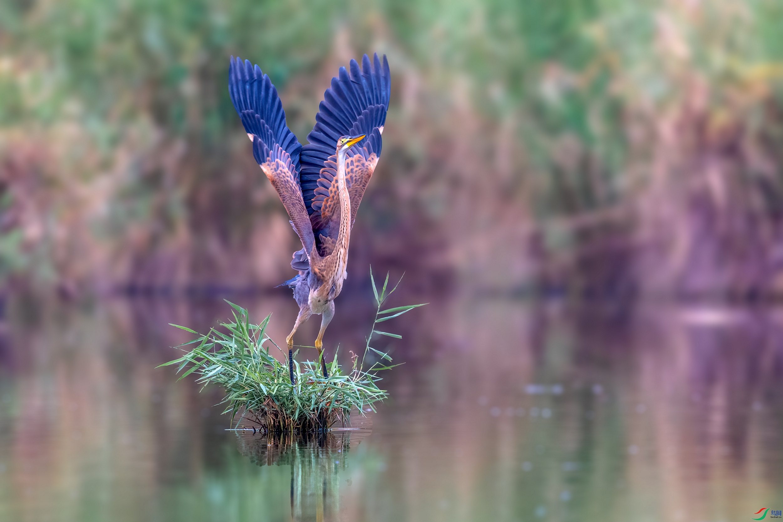 ��ƬDSC_0402 ����.jpg