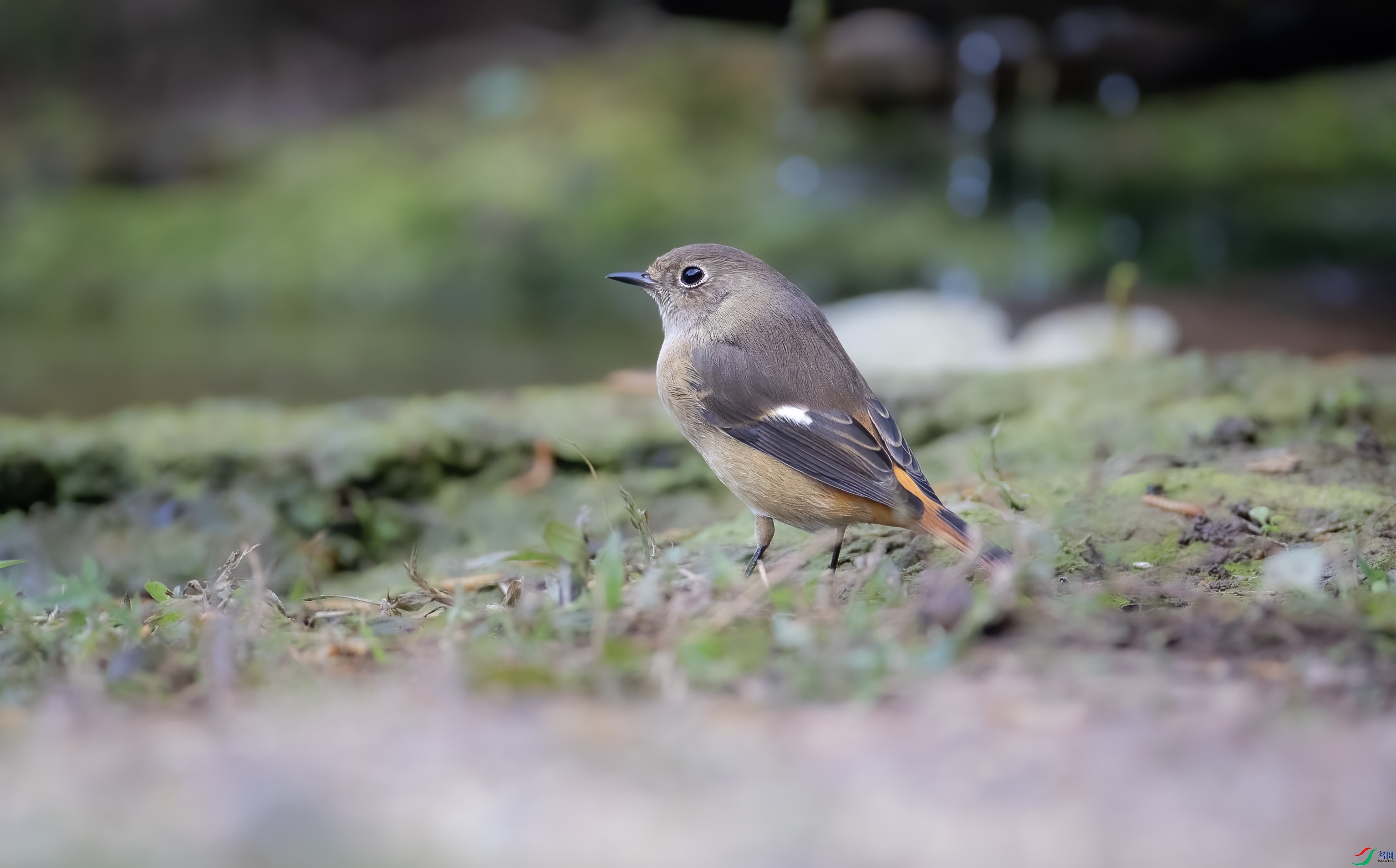 IMG_0831 ����.jpg