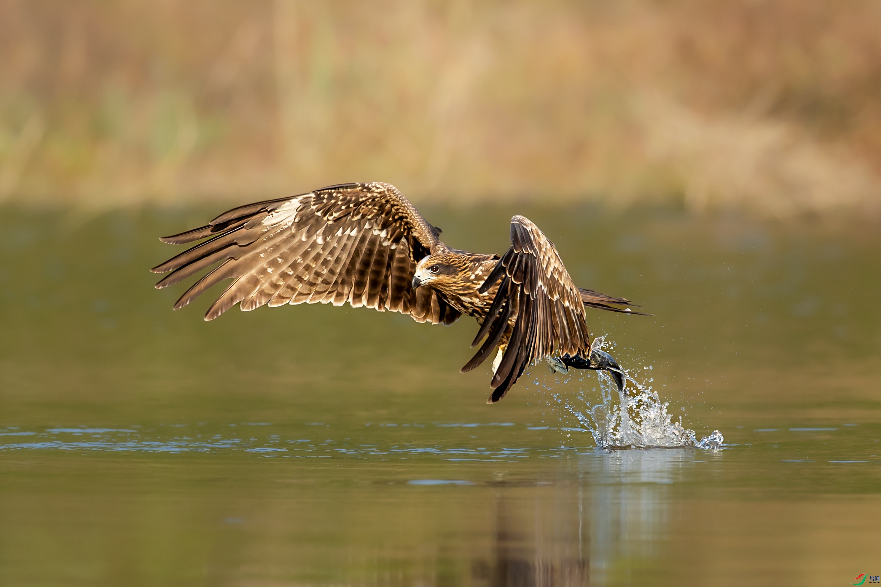 A05I6210 ����.jpg