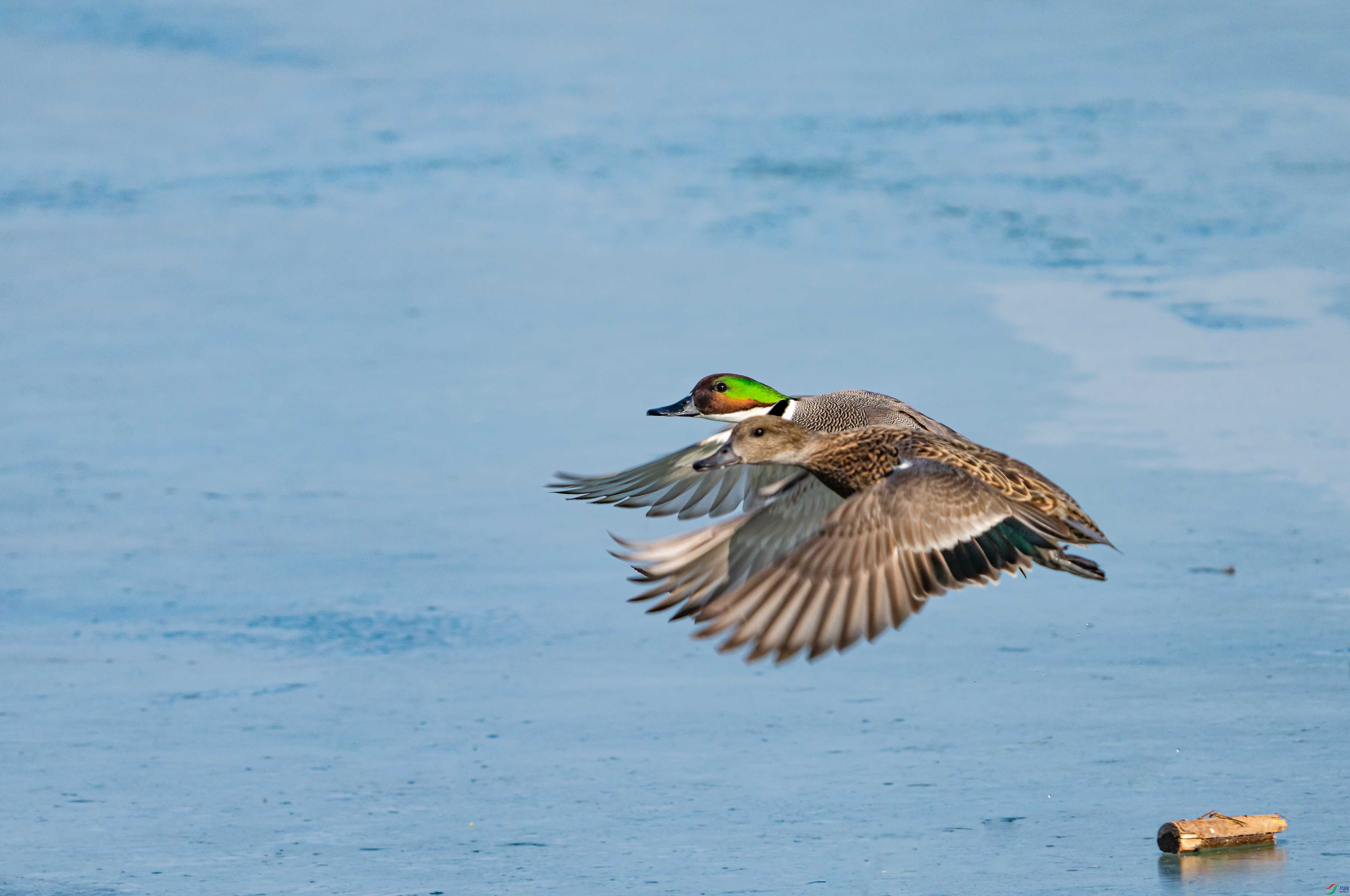 DSC05243-�༭-2.jpg