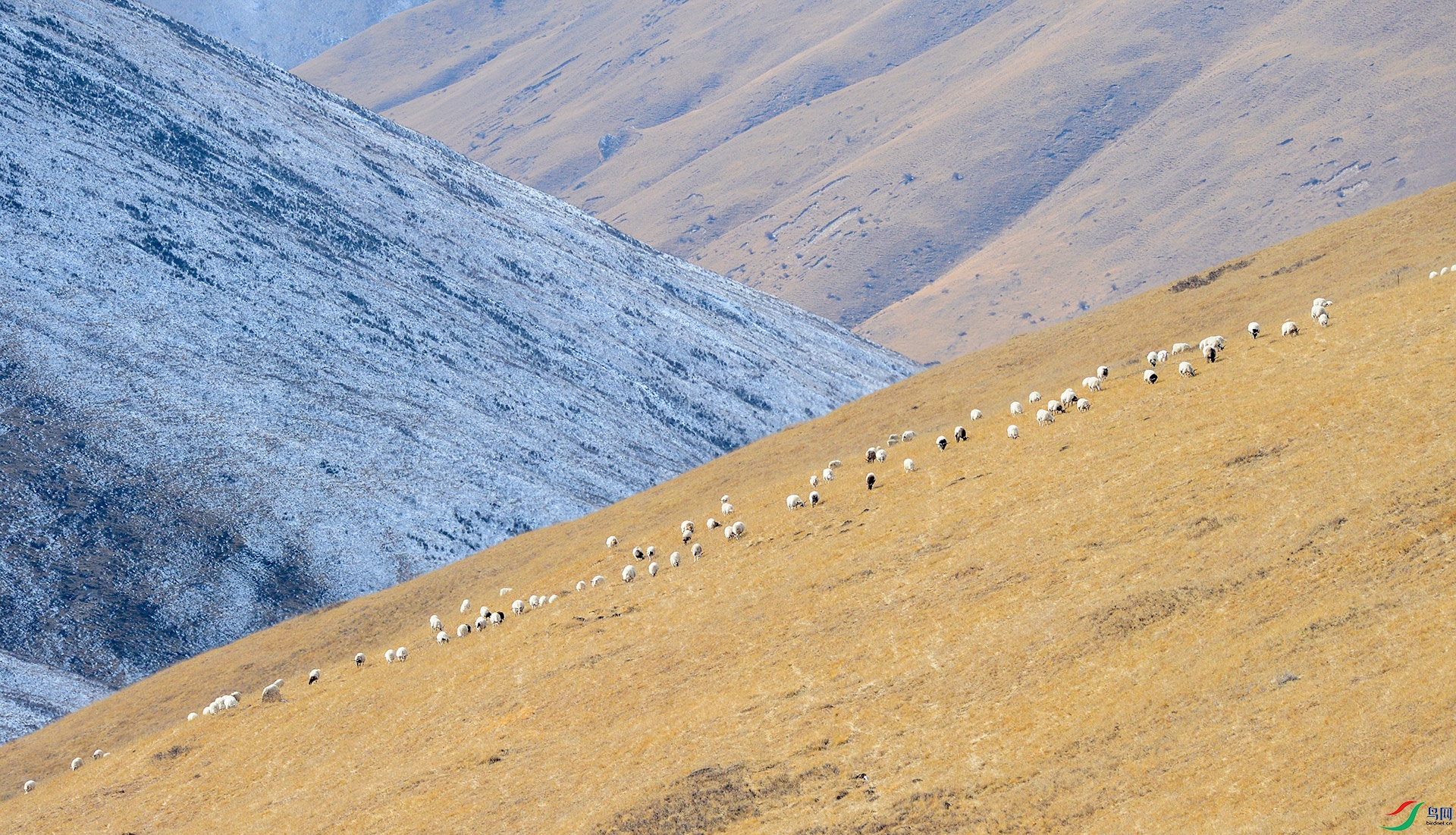 DSC_5607-1.jpg