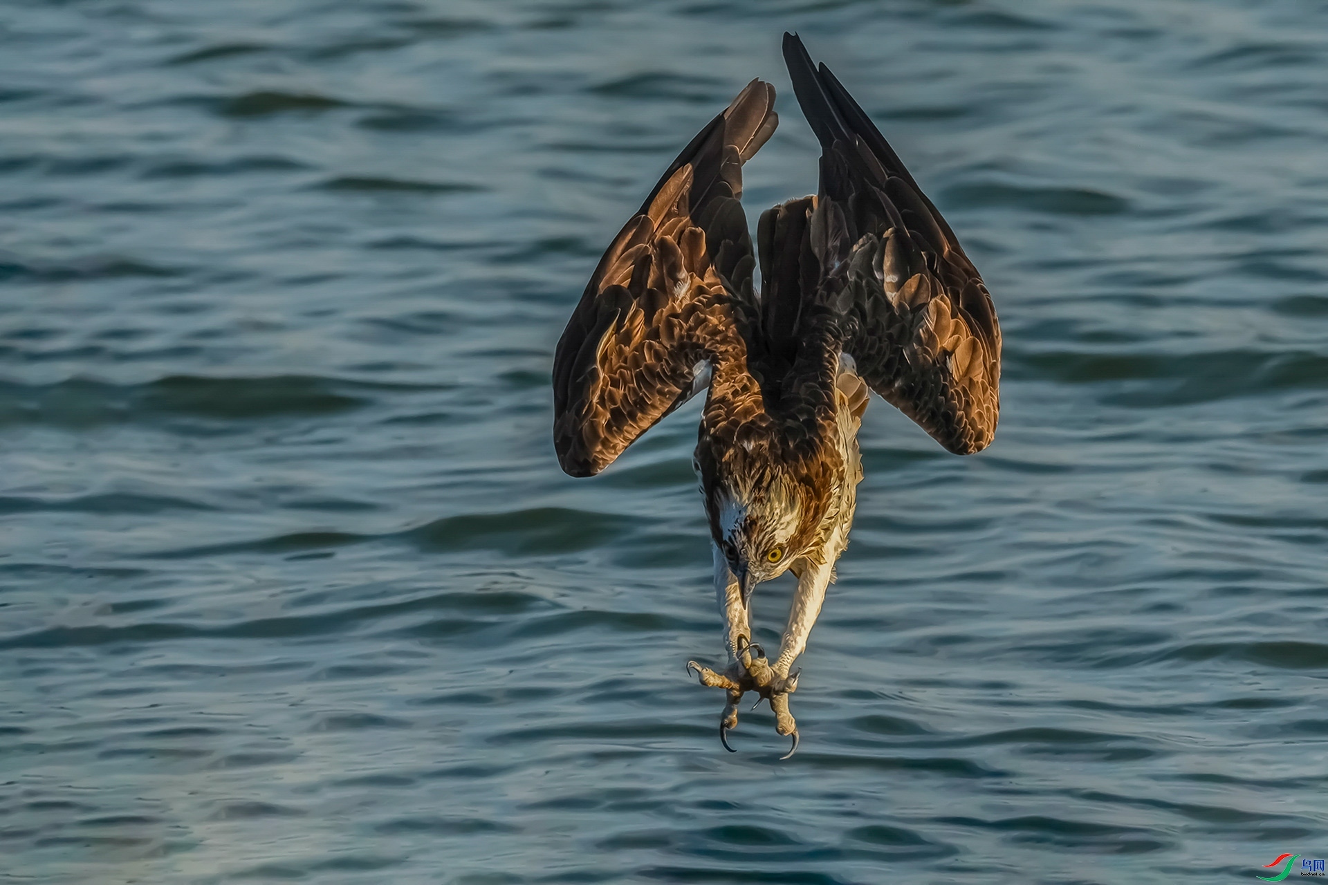 20231015���ʡ������� ��Ա����.jpg