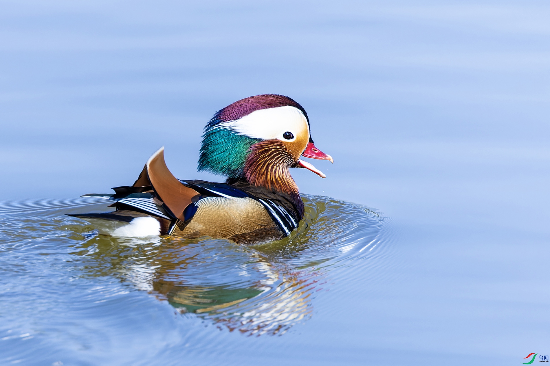 228 ����.jpg