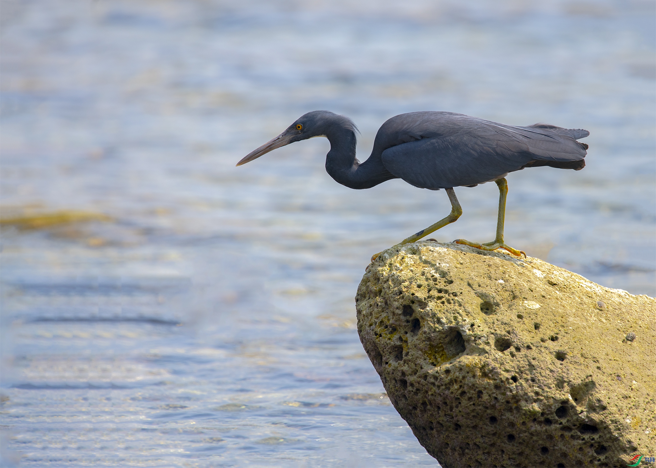 1758 ����.jpg