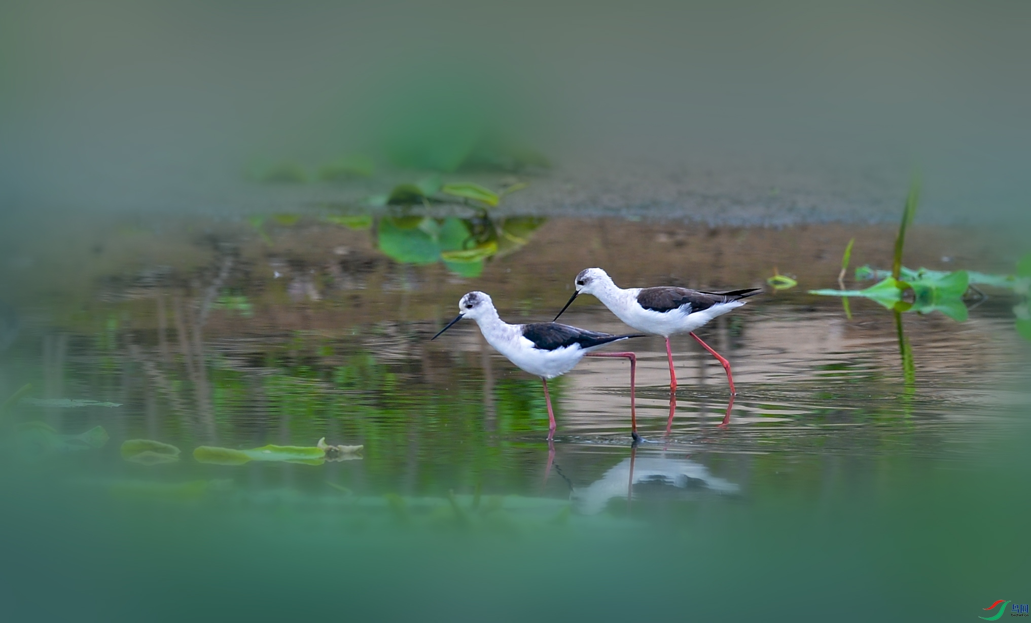 DSC_3035.jpg