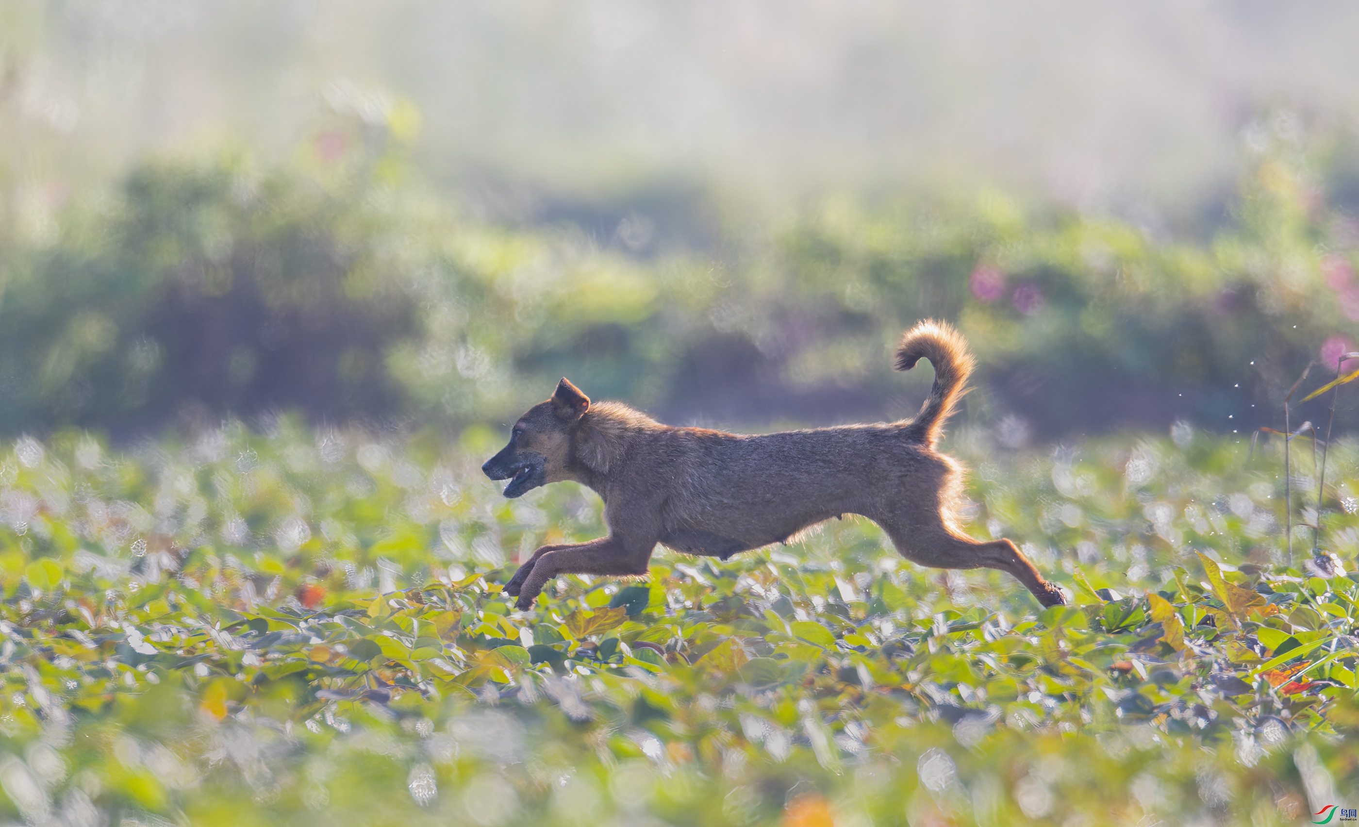 _D3I0019_DxO.jpg