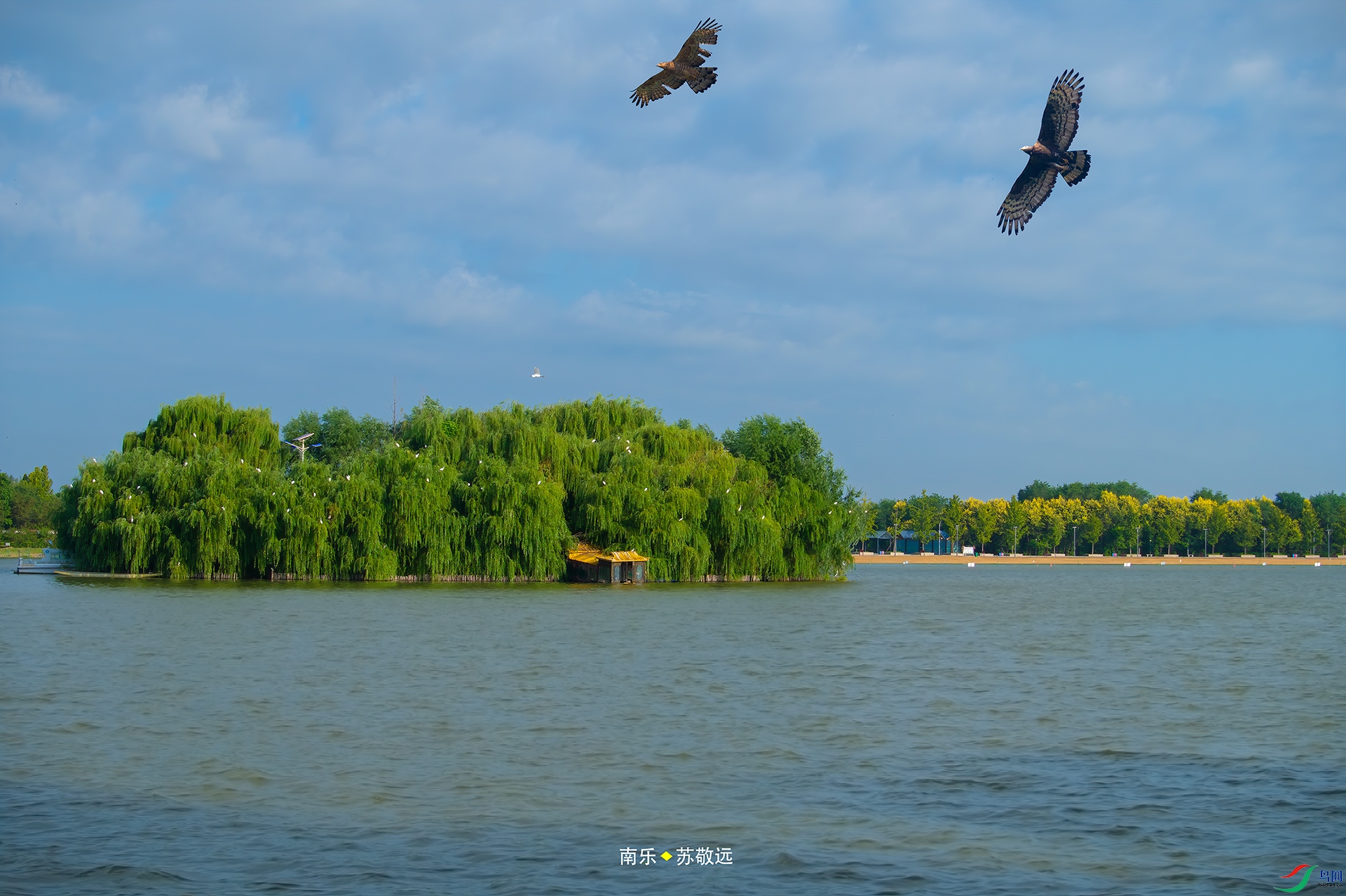 _AAA8873С.jpg