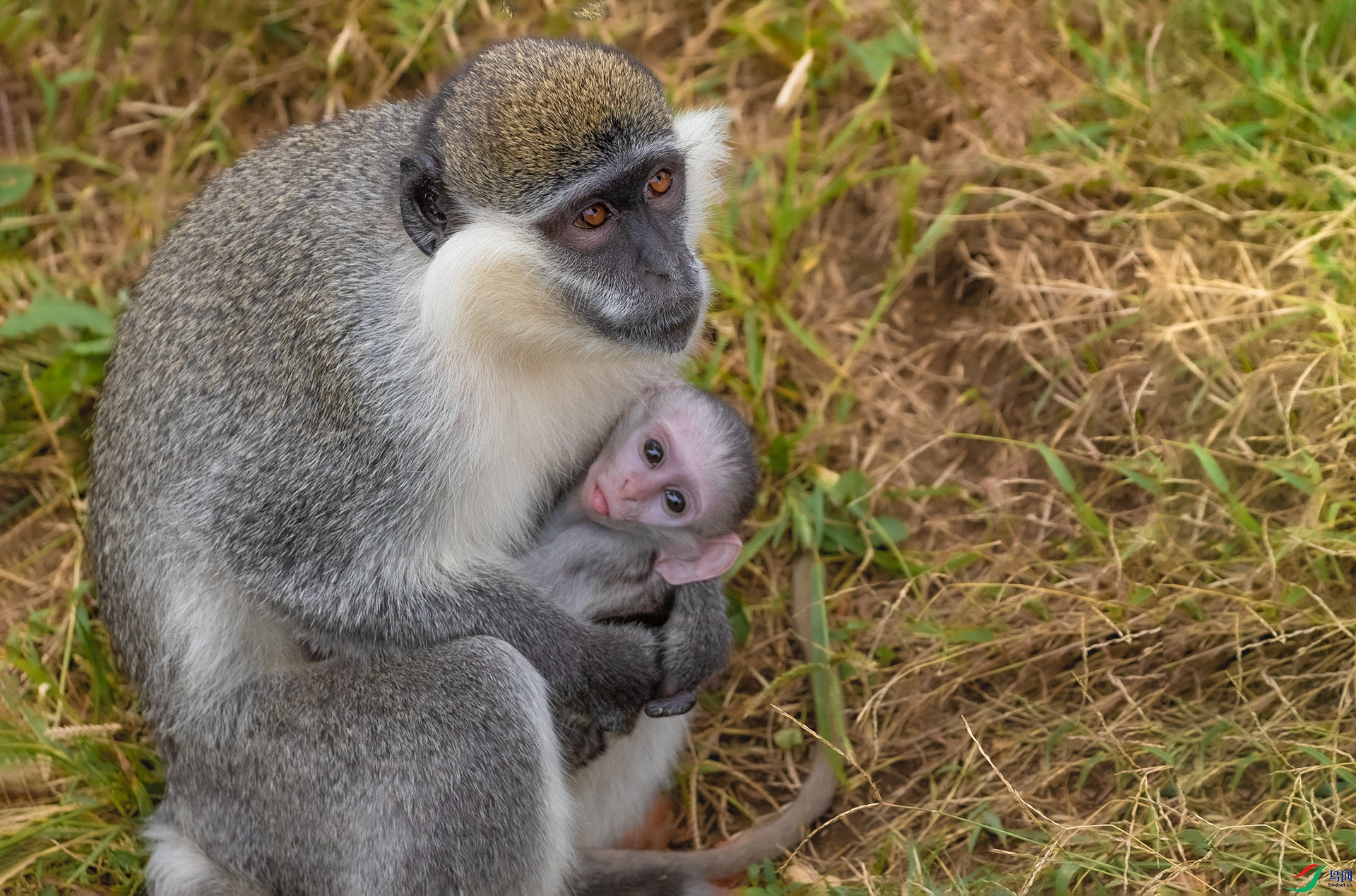 3S5A5383����  �̺�03.jpg