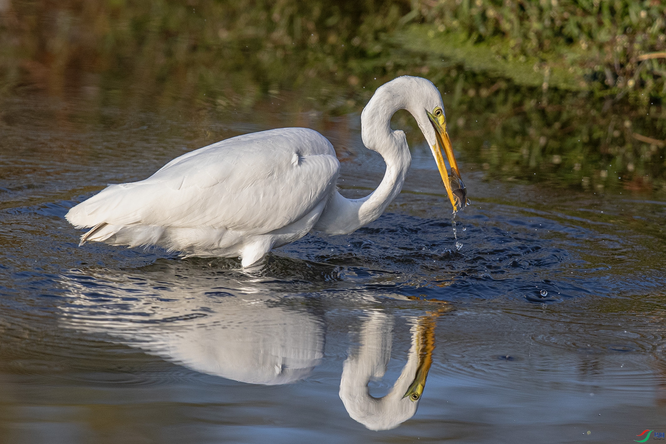 _90I7511 ����.jpg