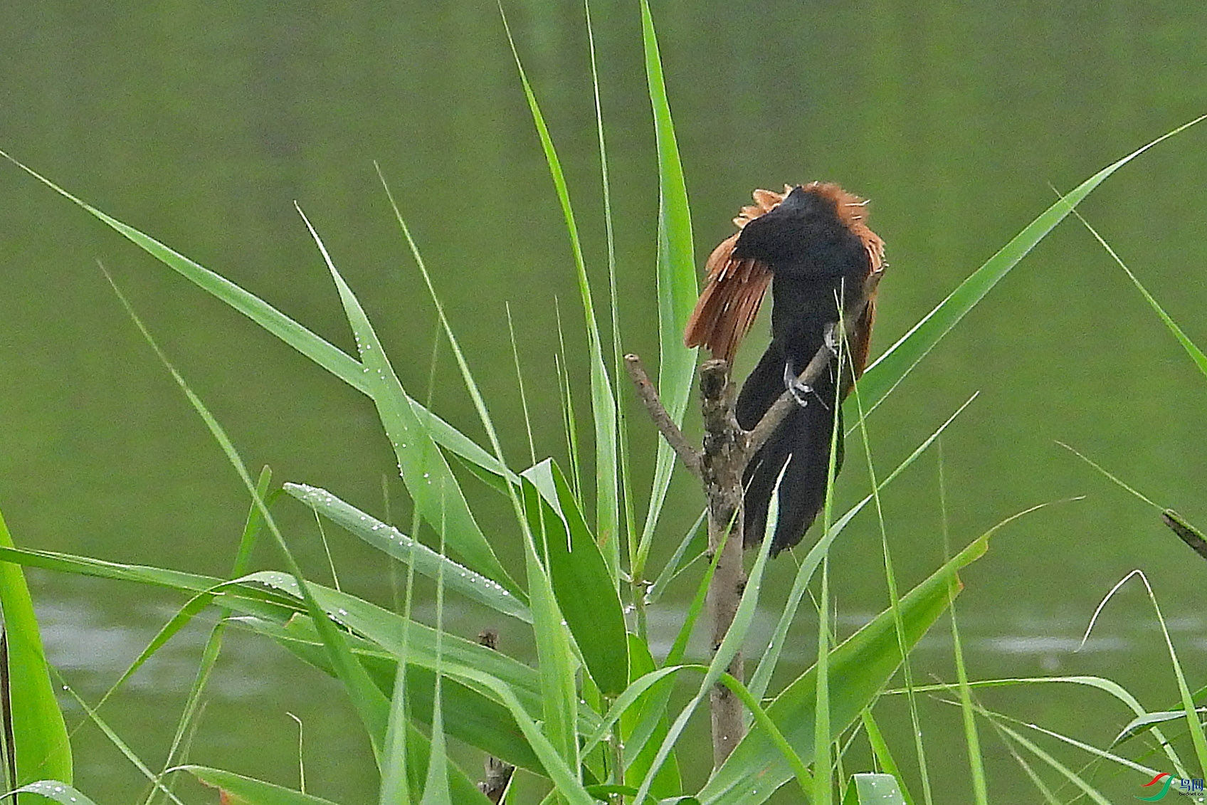 DSCN7227.JPG