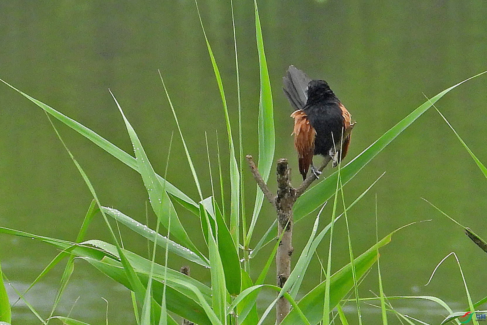 DSCN7228.JPG