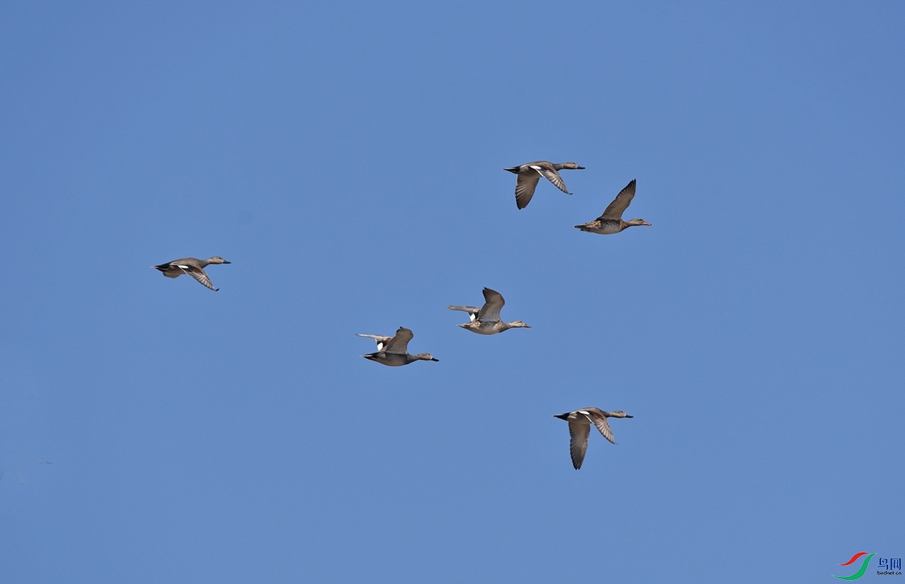 DSC_4621f_��ͼ��.jpg