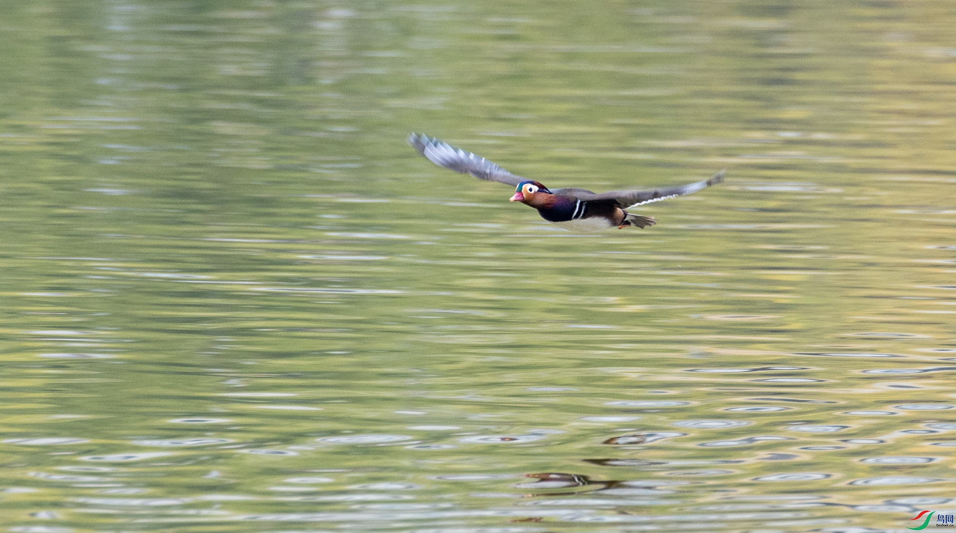 DSC_5760.jpg