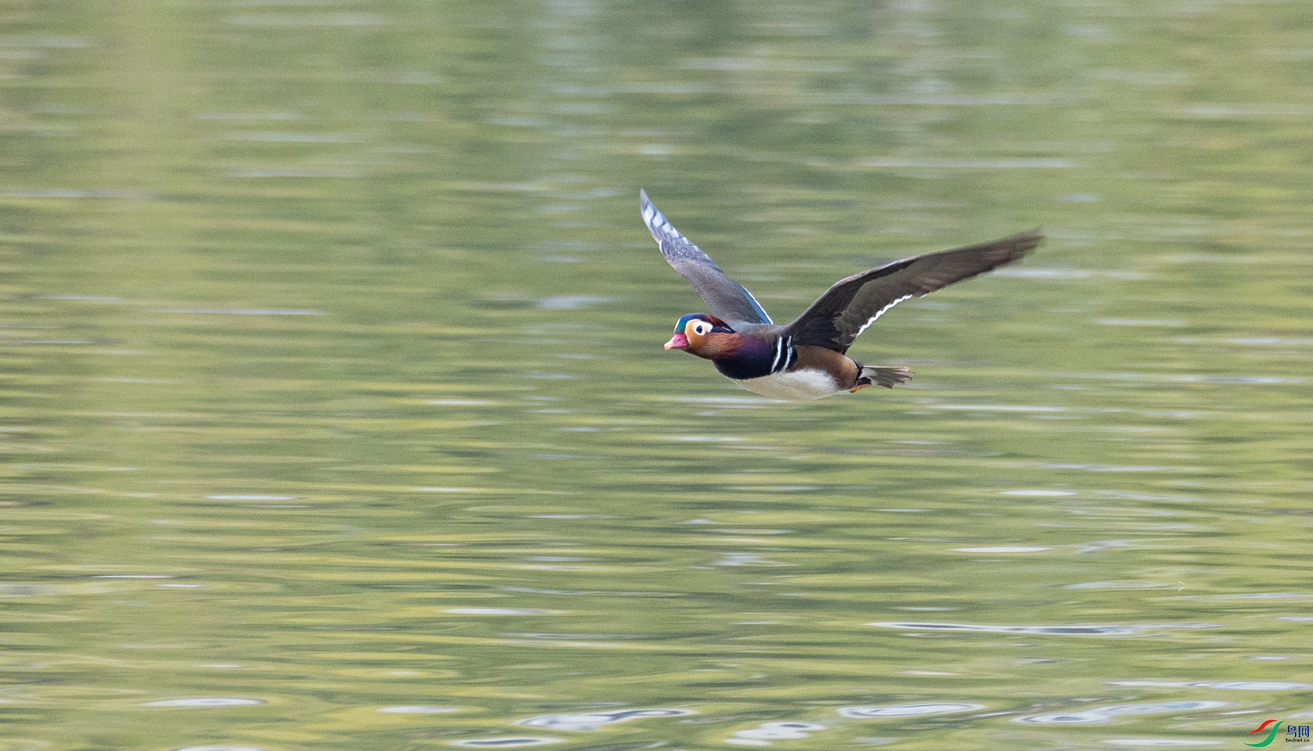 DSC_5761.jpg