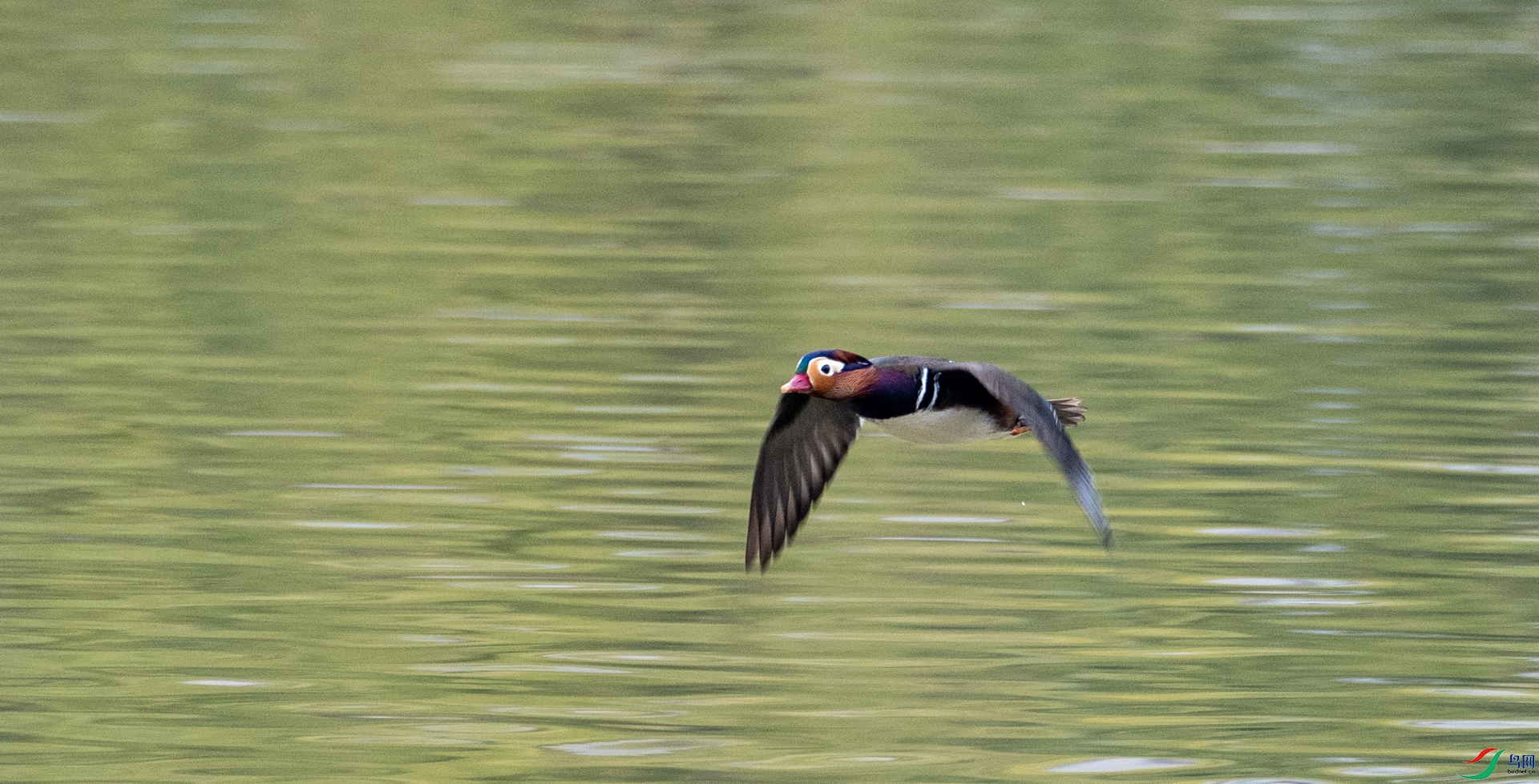 DSC_5762.jpg