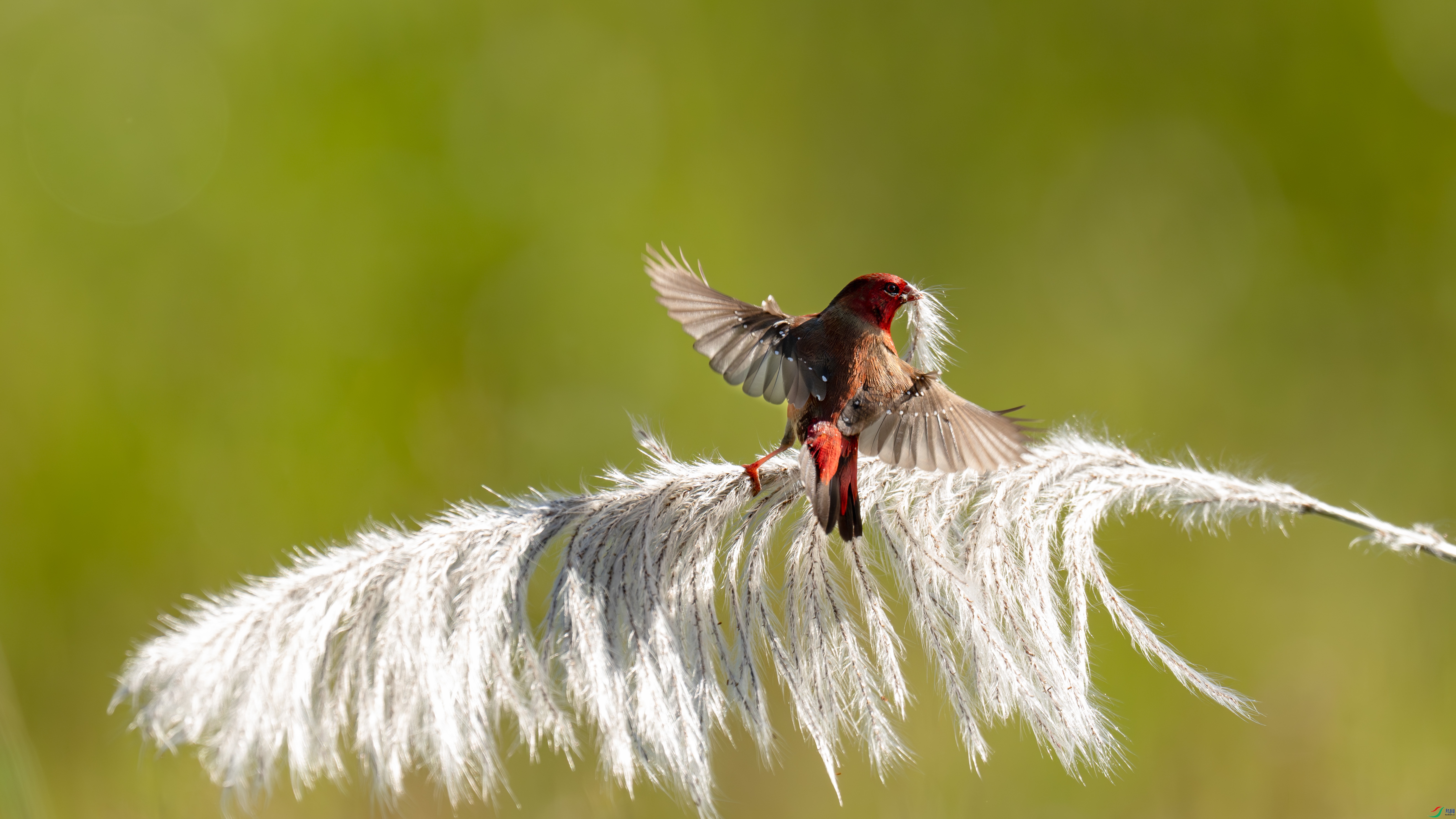 _DSC9175- ����1.jpg