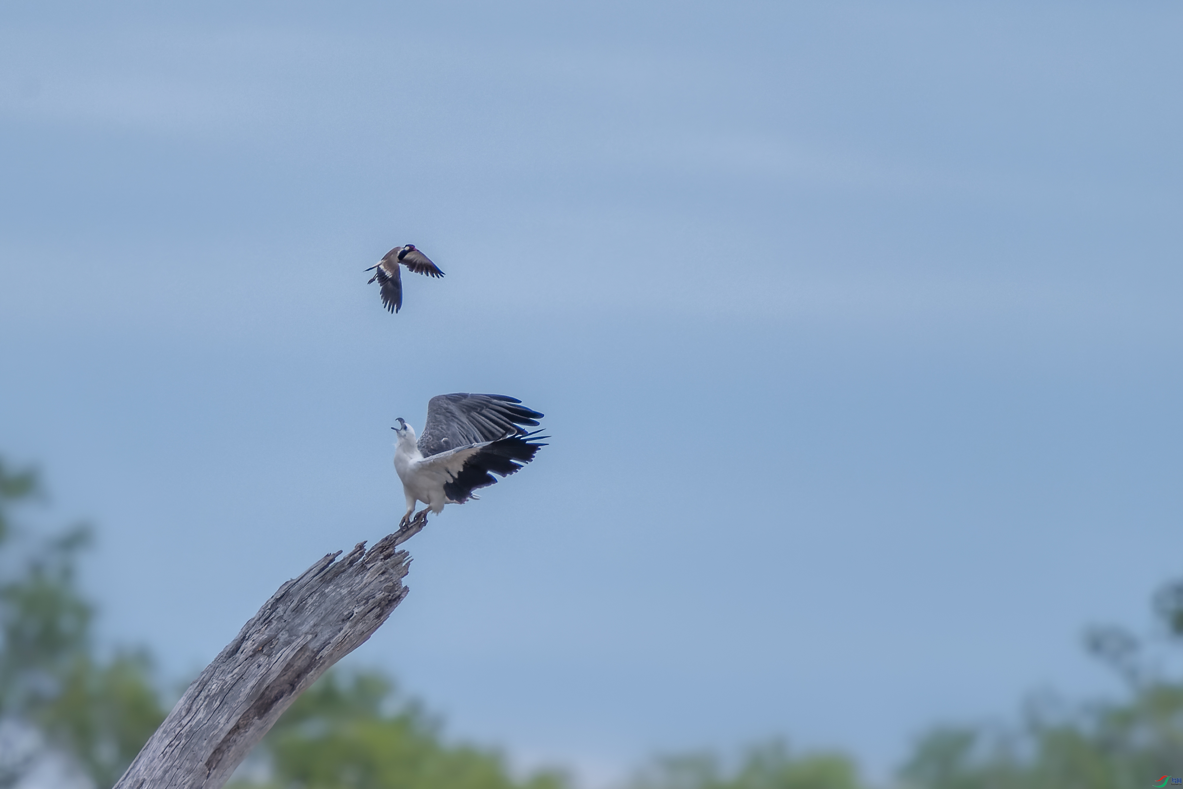 DSC_1846.jpg