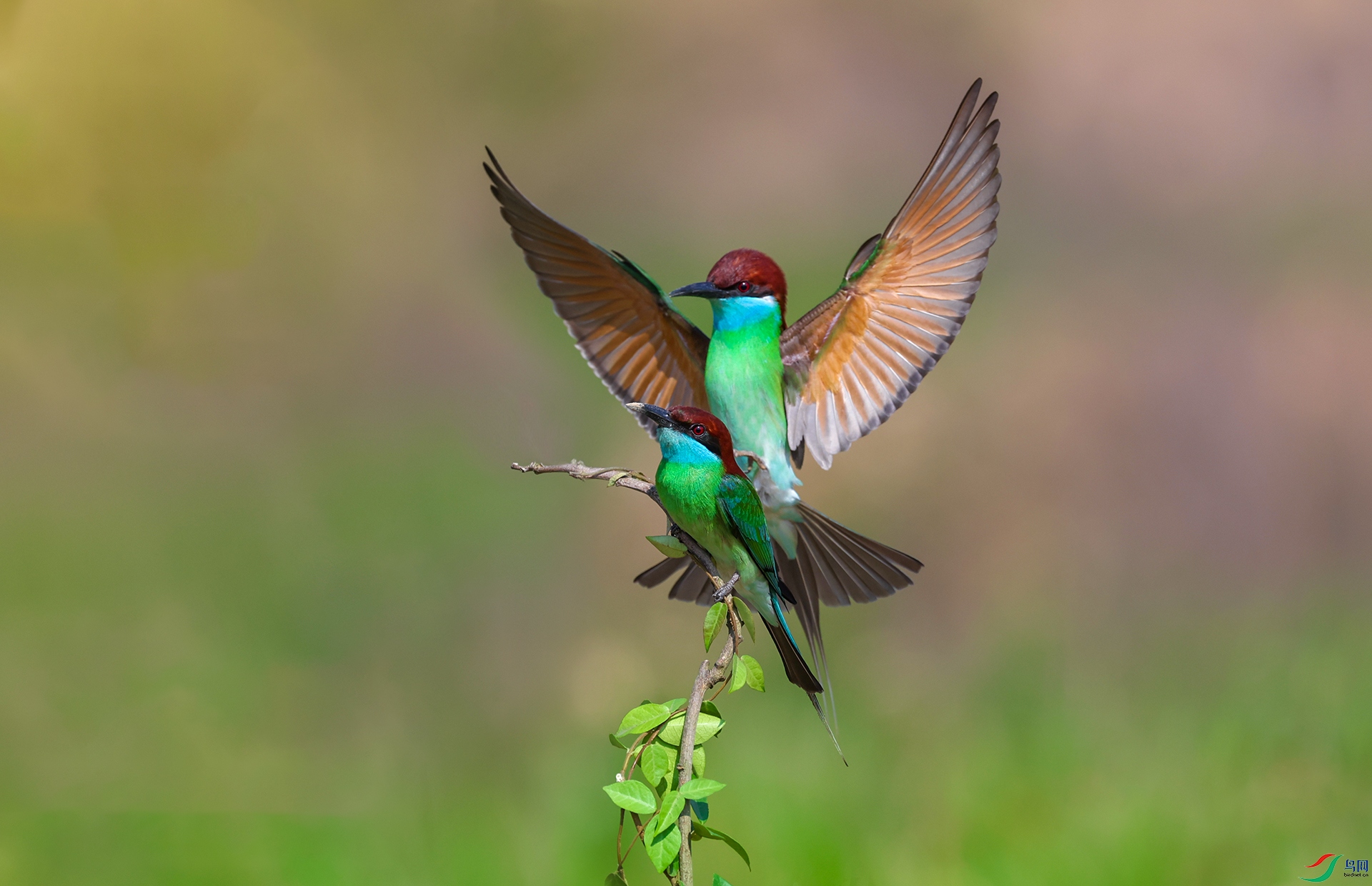 ����083A9787.jpg