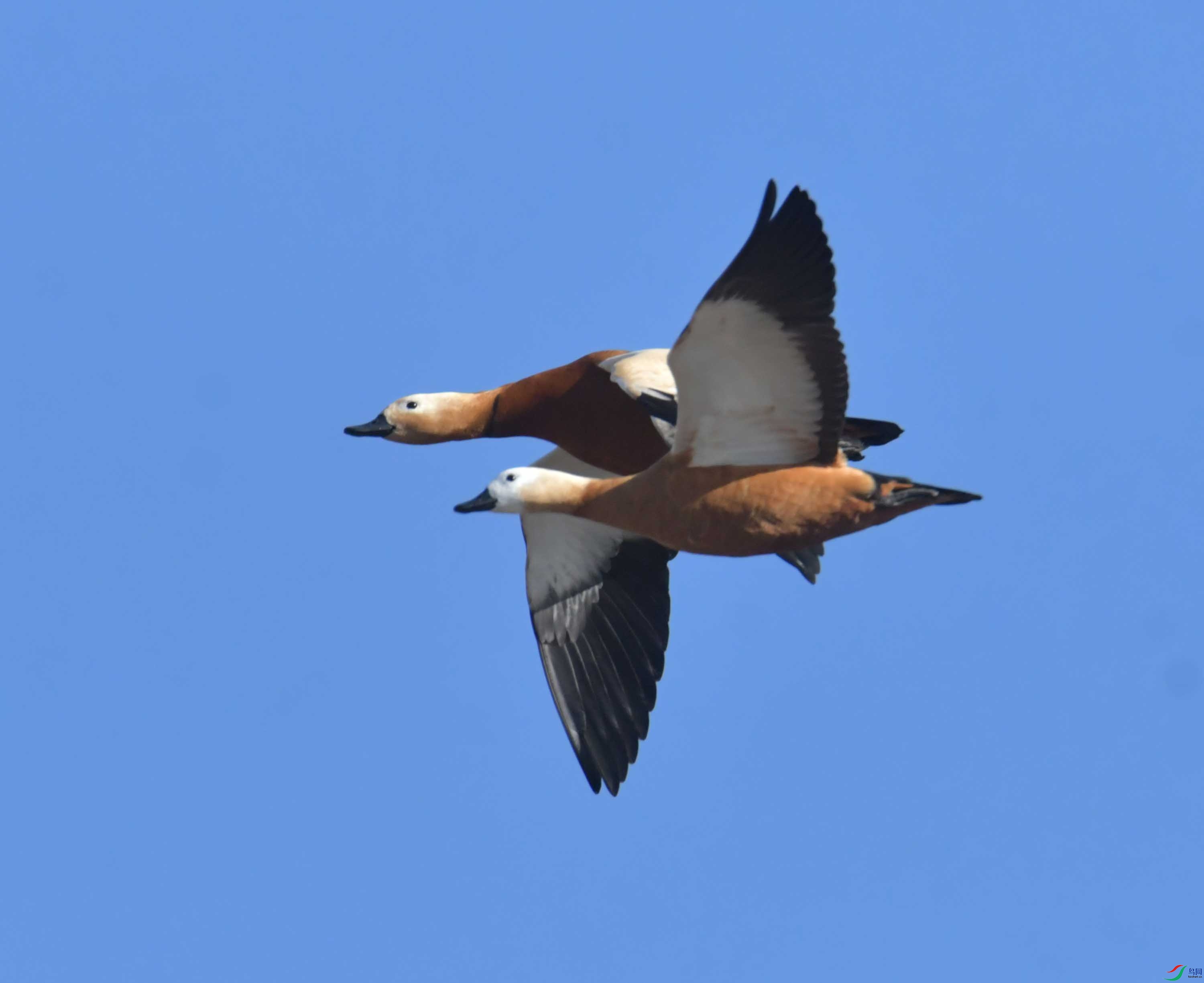 DSC_9211.JPG