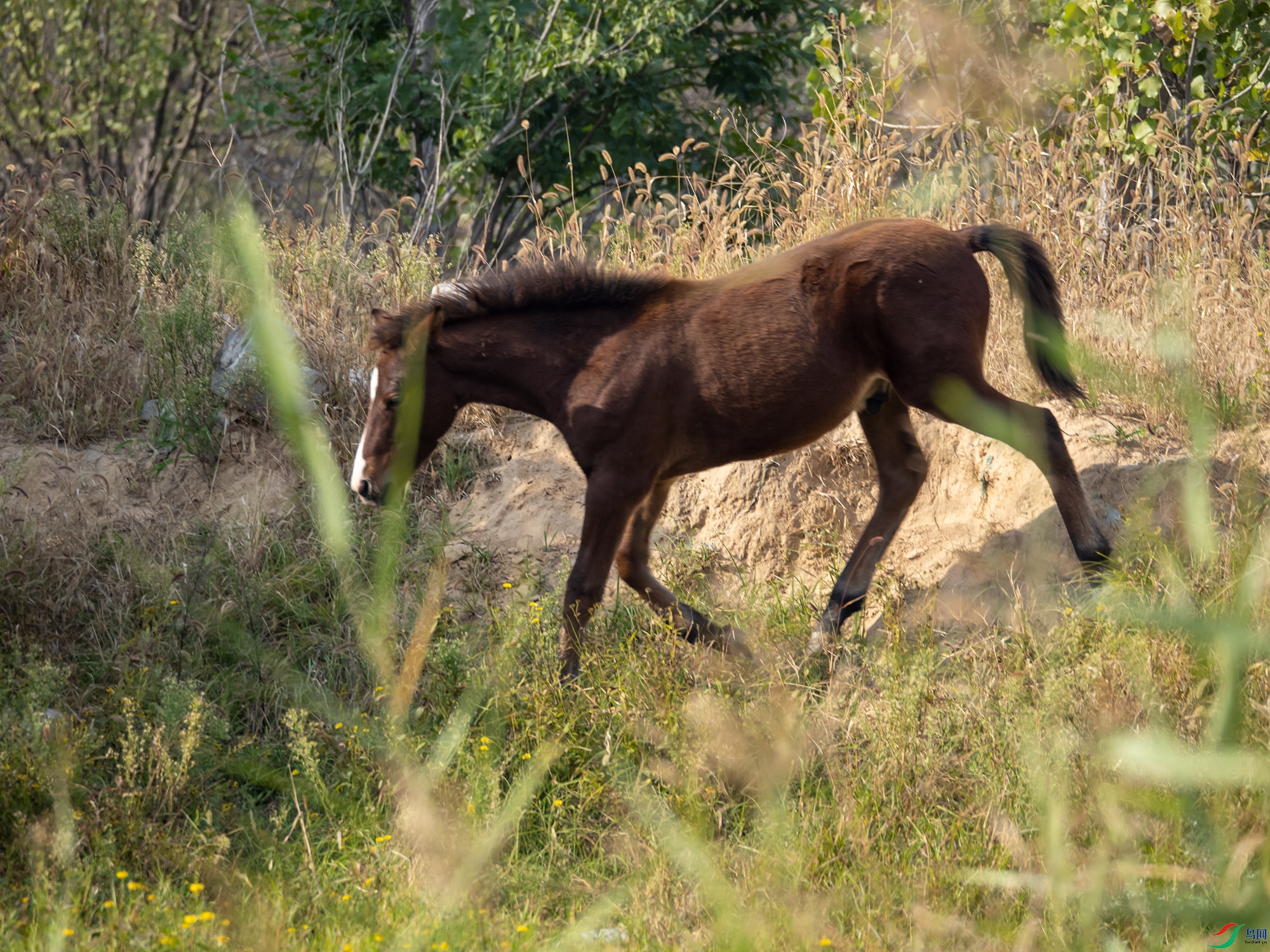PA102627.jpg