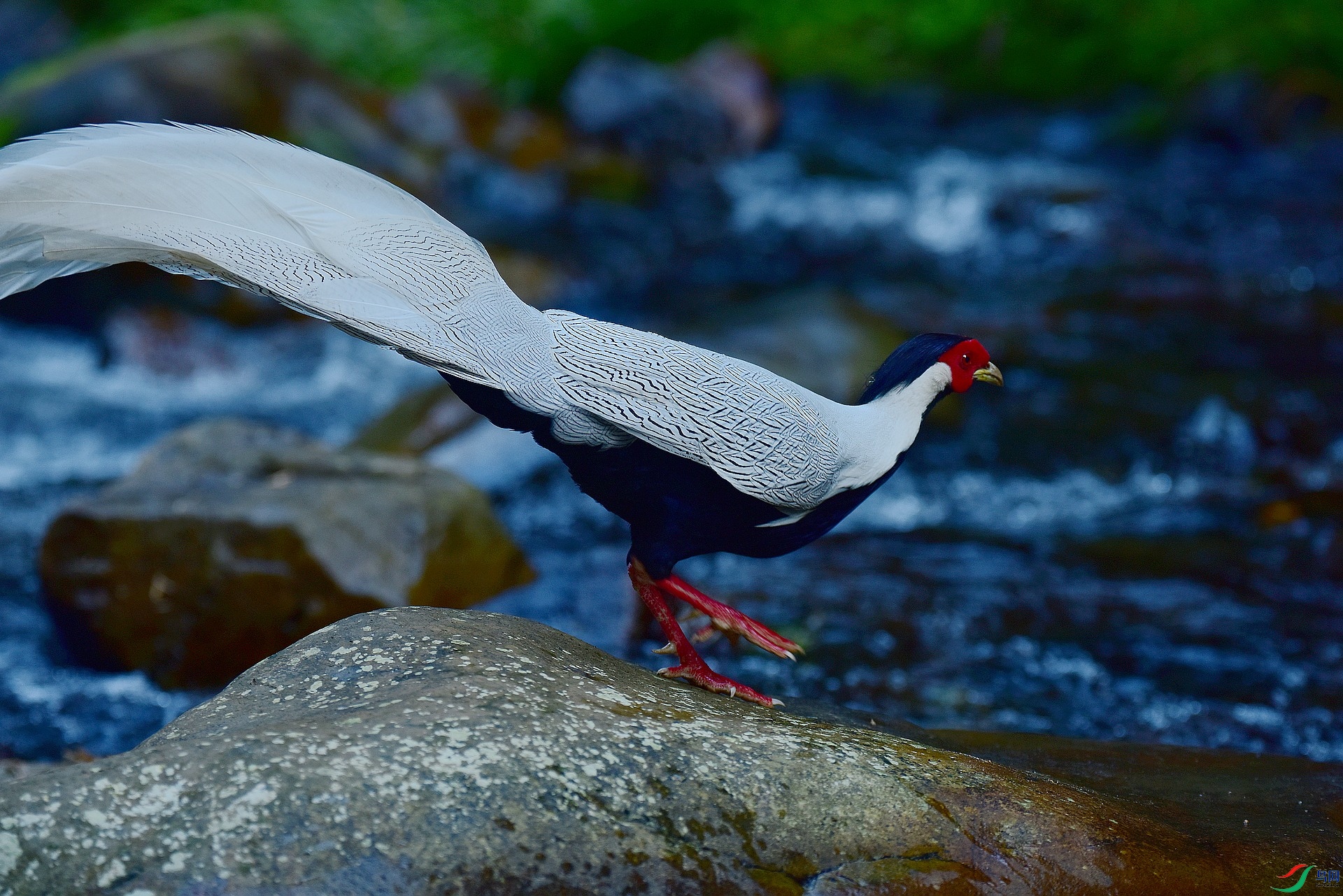 D8I_8690.jpg