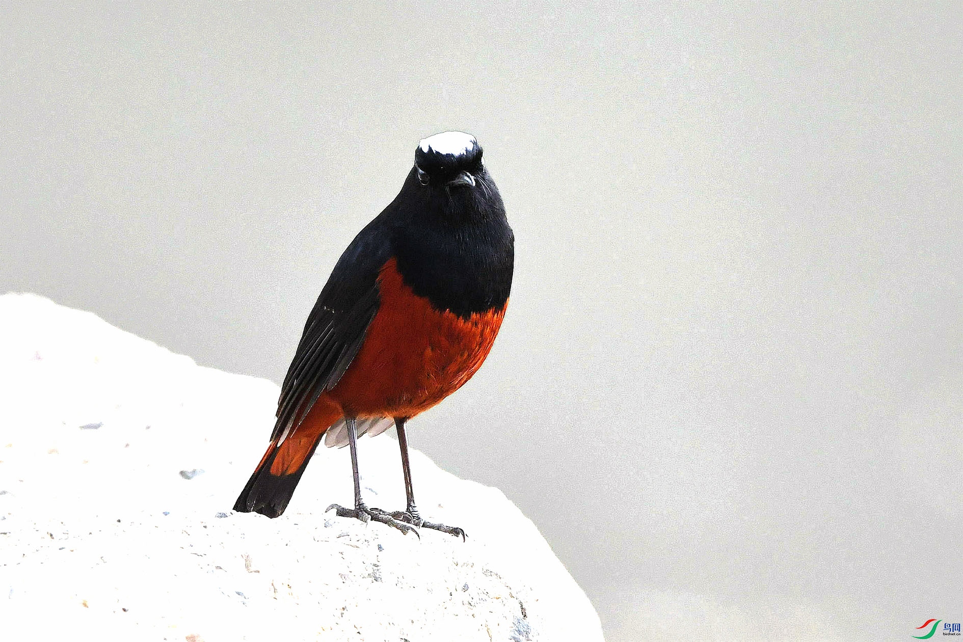 DSC_9744_����.jpg