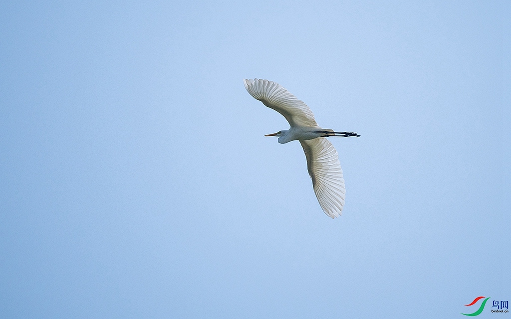 LBW_0076.jpg