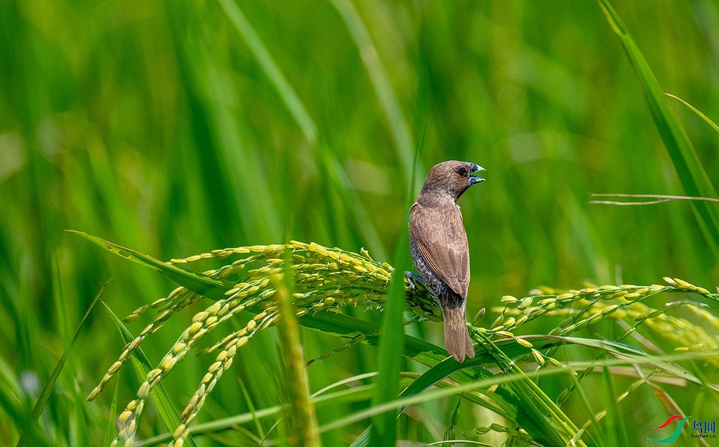 LBW_0424.jpg