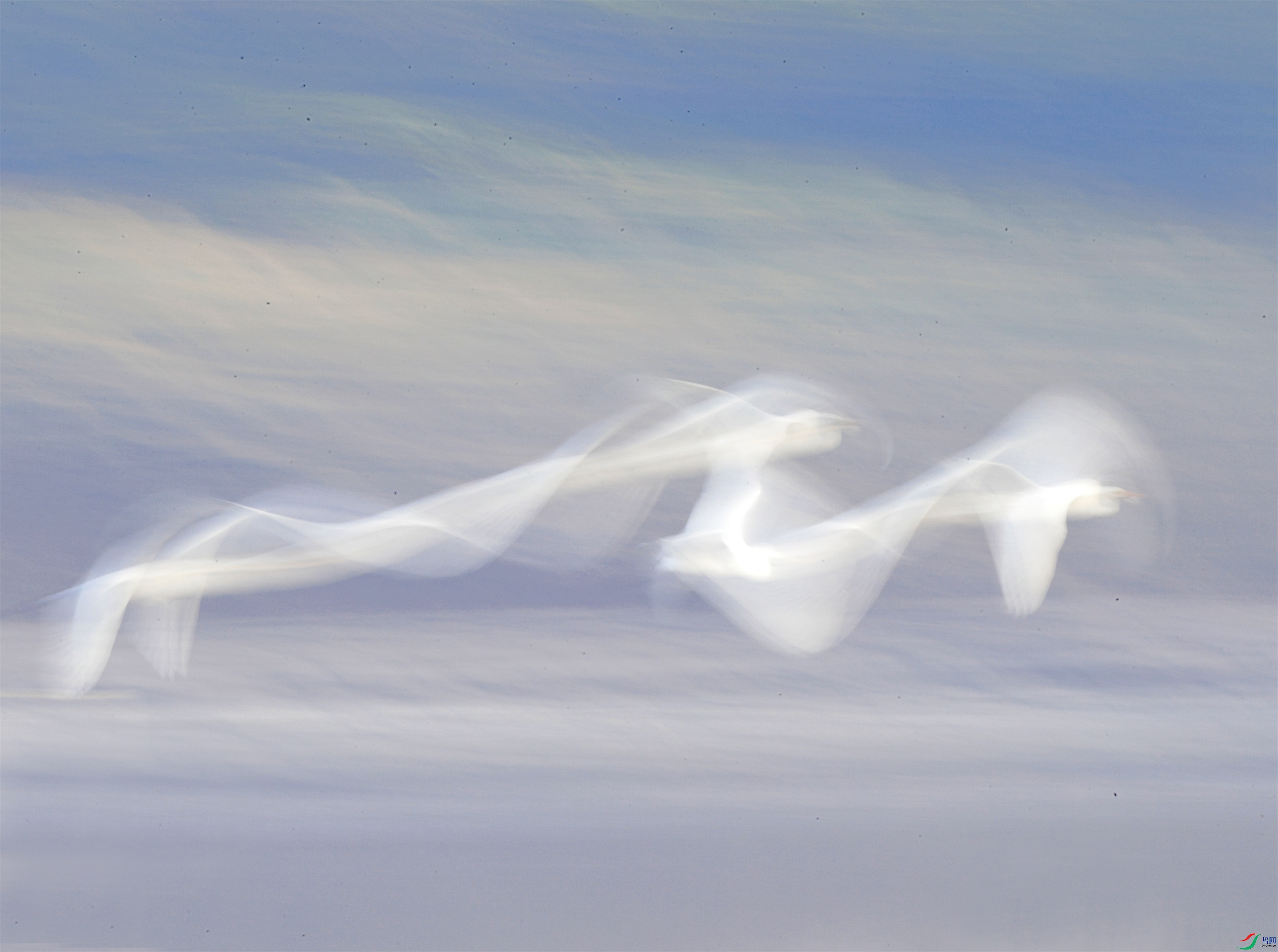 2222 - ����.jpg