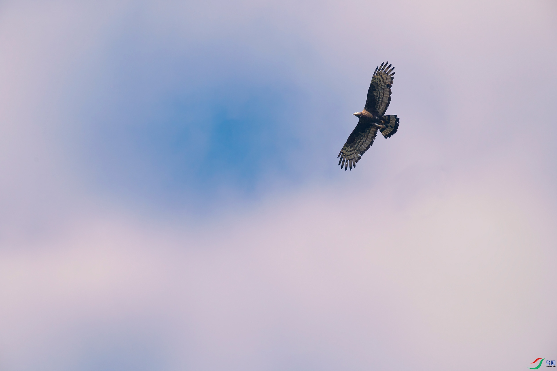 �� ��С��.jpg