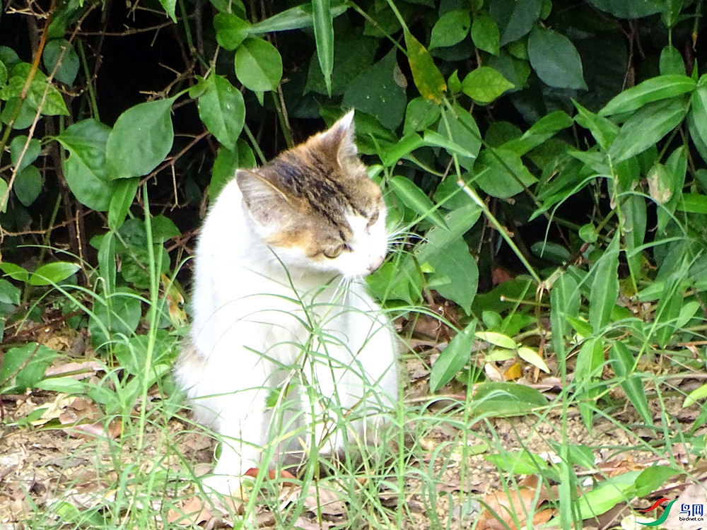 DSC00172_����.jpg