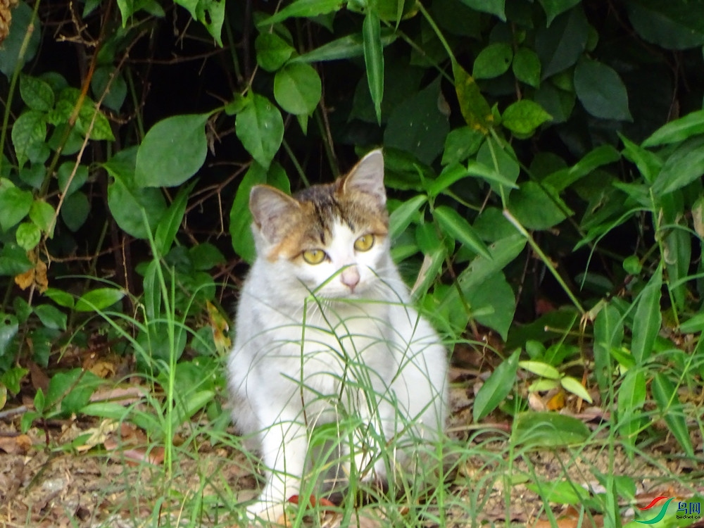 DSC00173_����.jpg