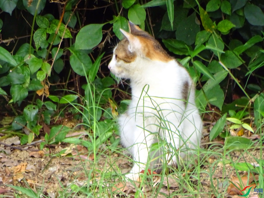 DSC00174_����.jpg